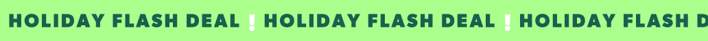 holiday flash deal!
