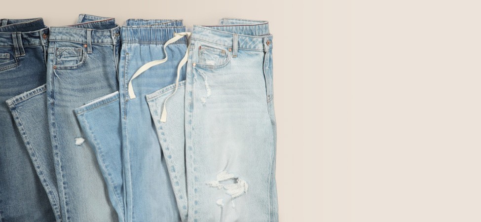 section banner header