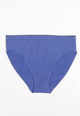 True Stretch Seamless Bikini Panty, C4231, small