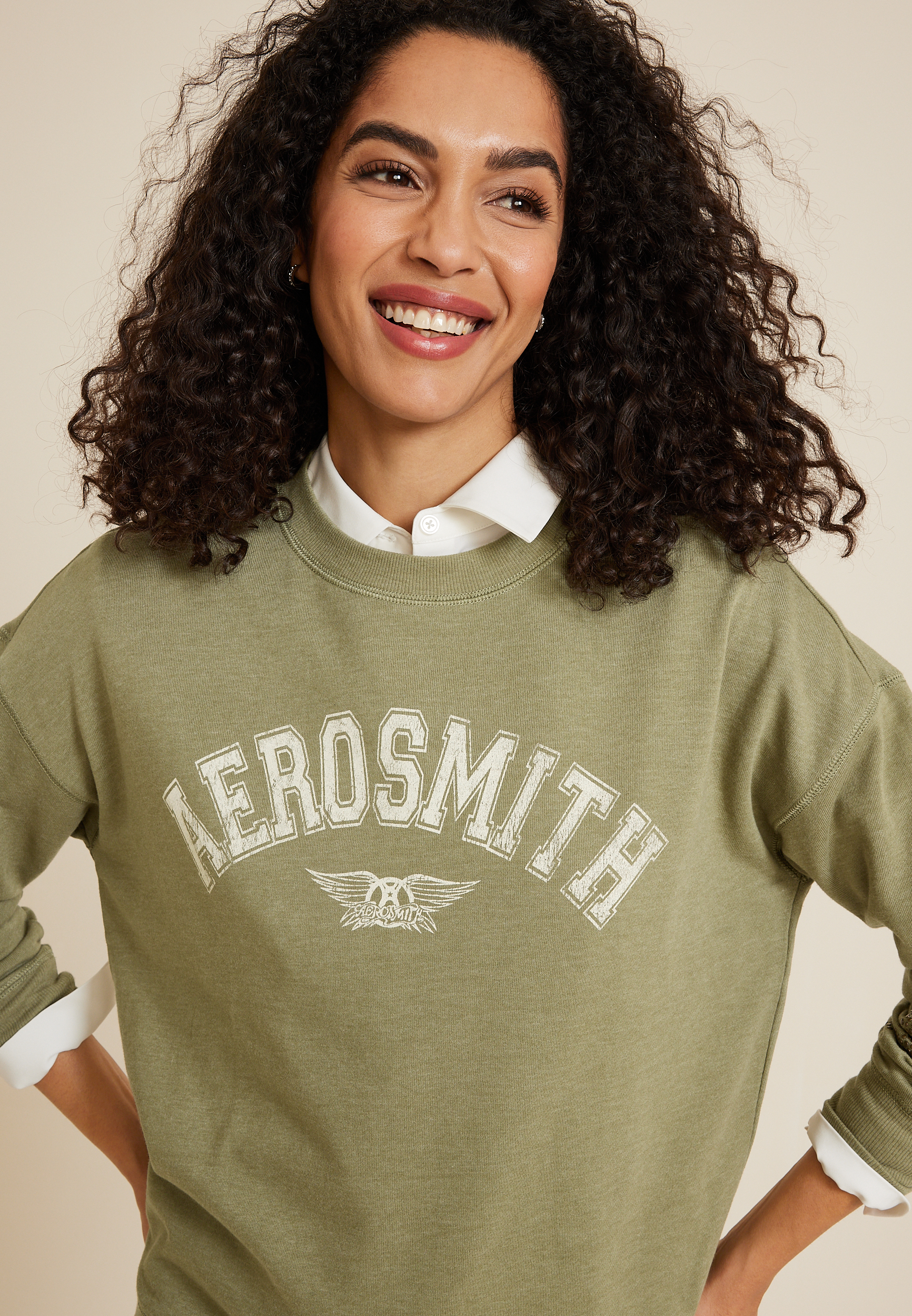 Aerosmith Relaxed Fit Sweatshirt, C425, large