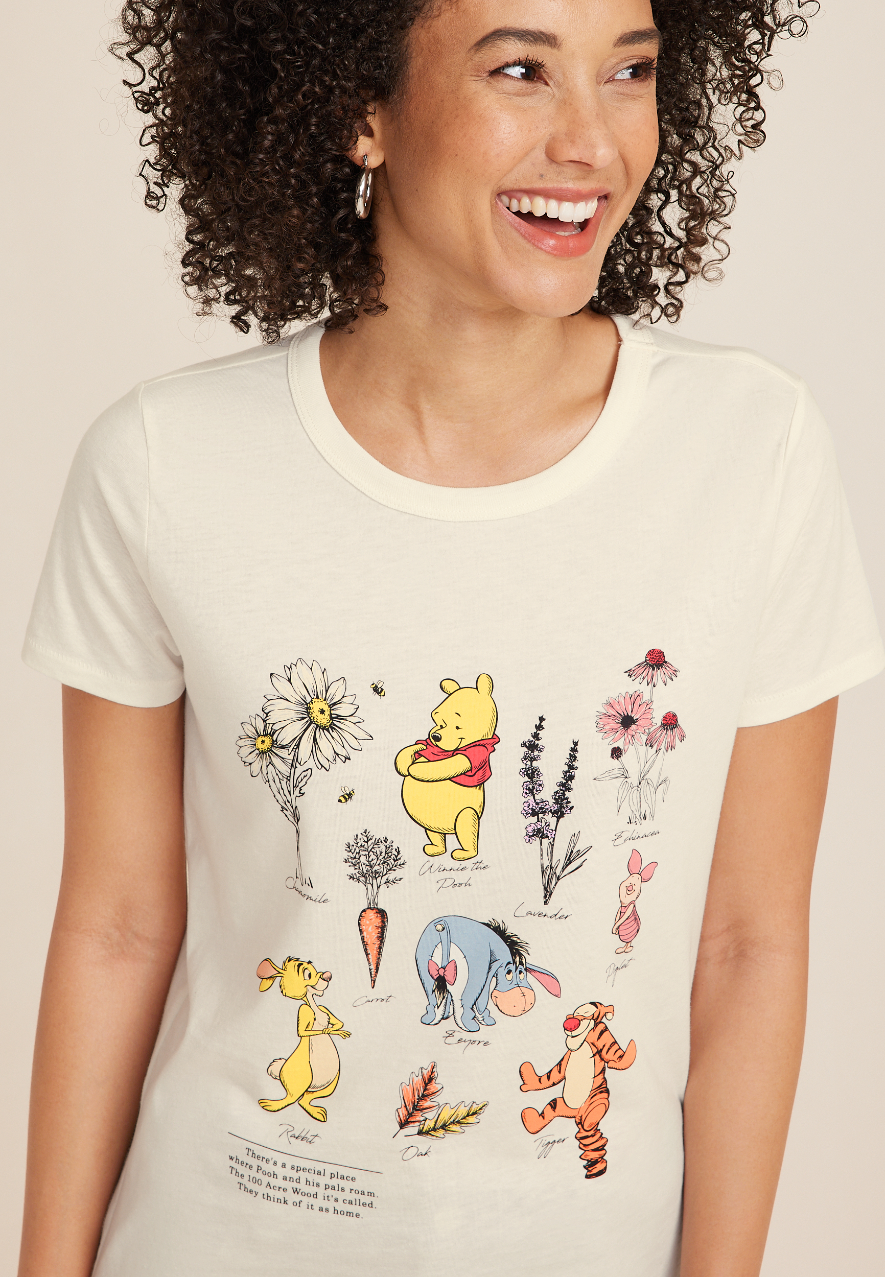 Winne The Pooh And Friends Classic Fit Graphic Tee, C6007, large