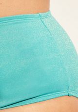 Plus Size Sparkle High Waist Bikini Bottom, C2653, small