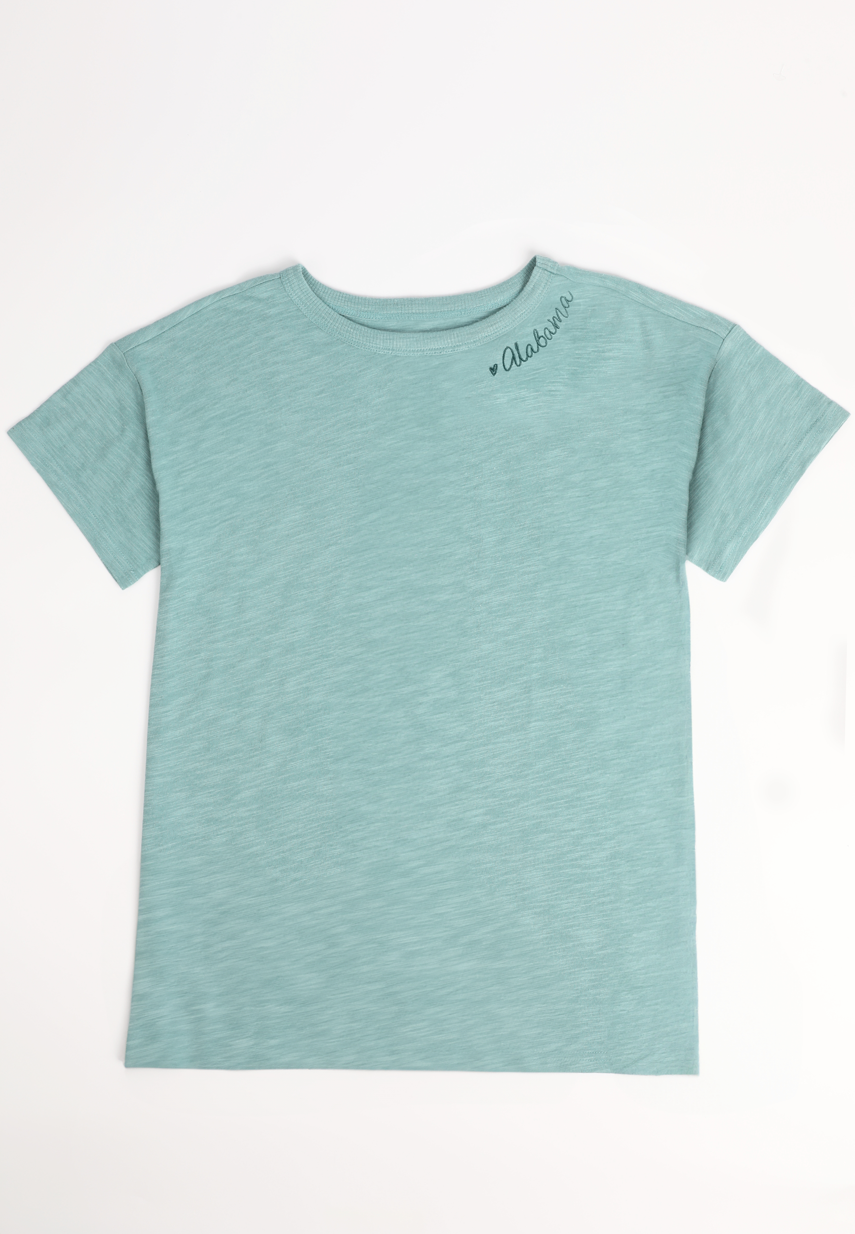 Plus State Embroidered Crew Neck Tee
