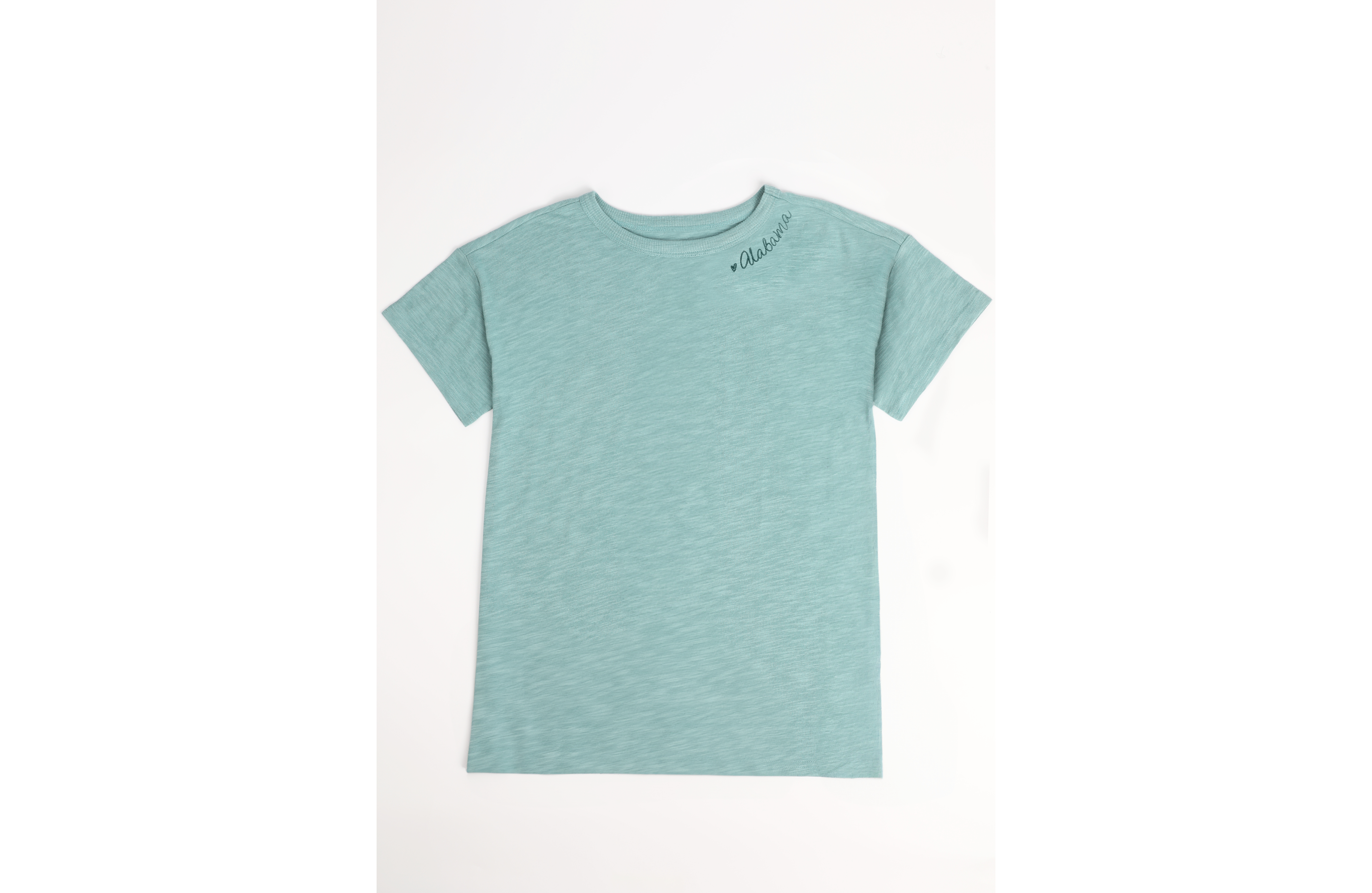 Plus State Embroidered Crew Neck Tee
