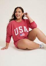 Plus Size Americana USA Sweatshirt, C485, small