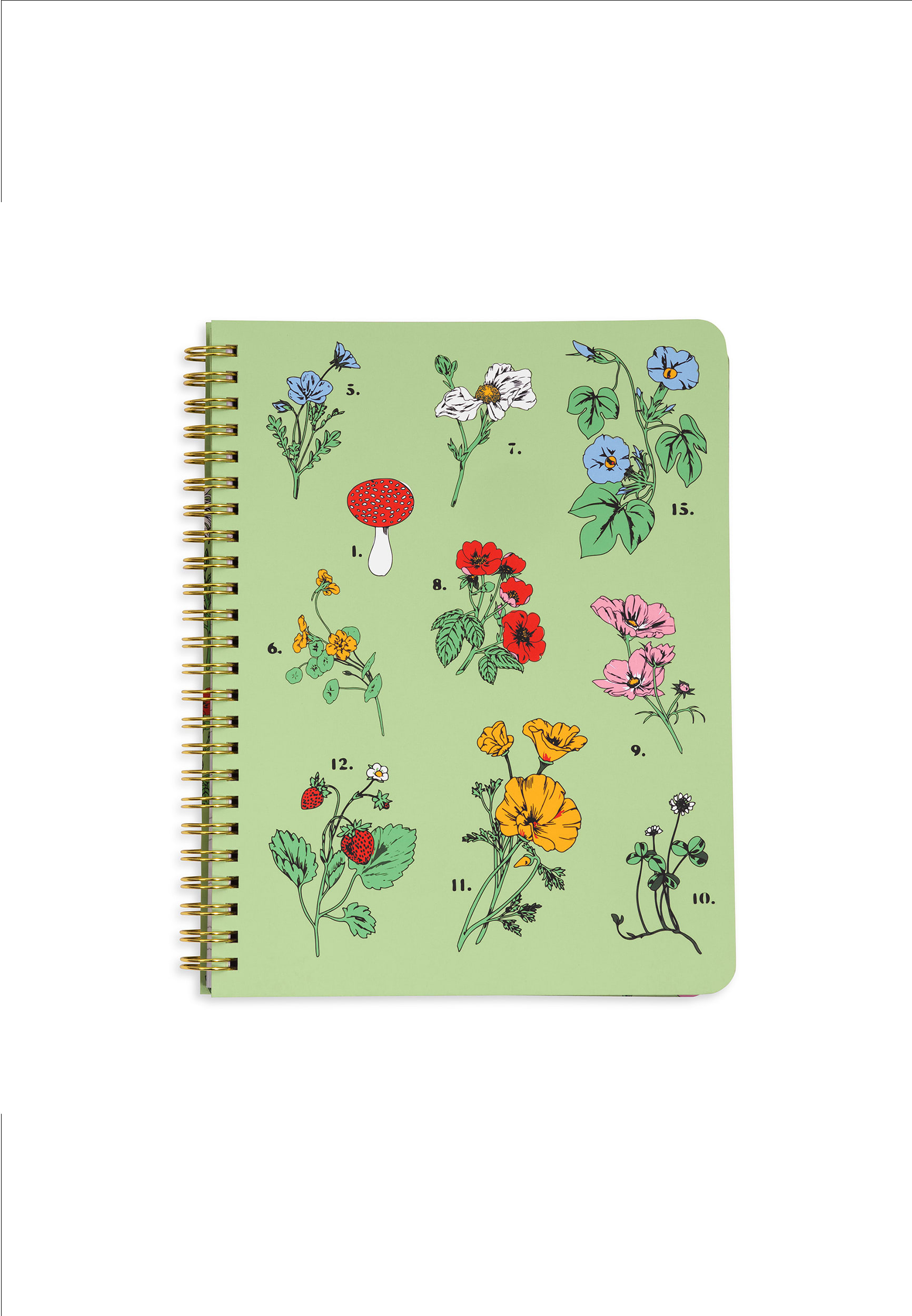 Bando Rough Draft Mini Notebook | maurices