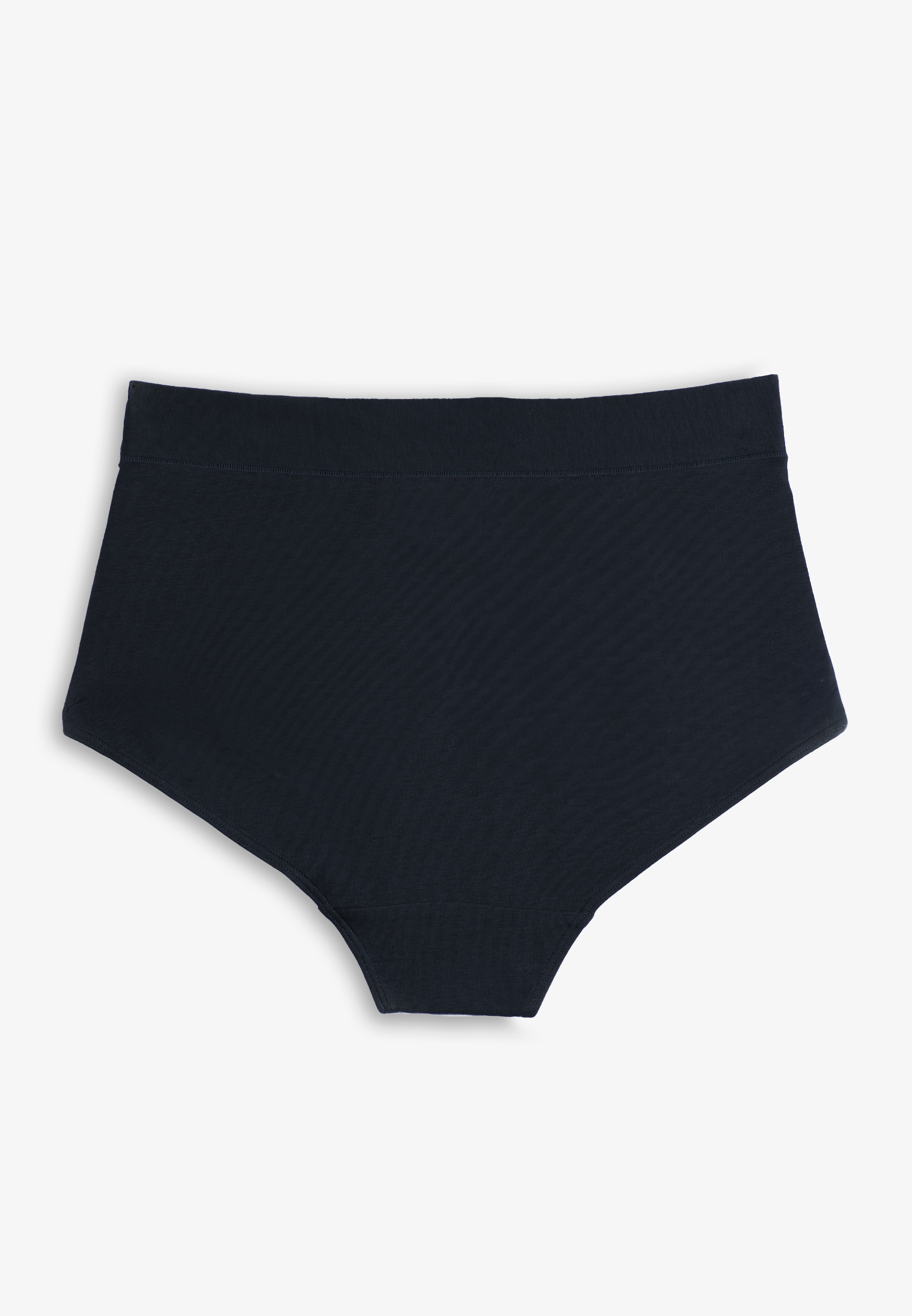 Simply Comfy Cotton High Waist Brief Panty, BLUE JASMINE, large