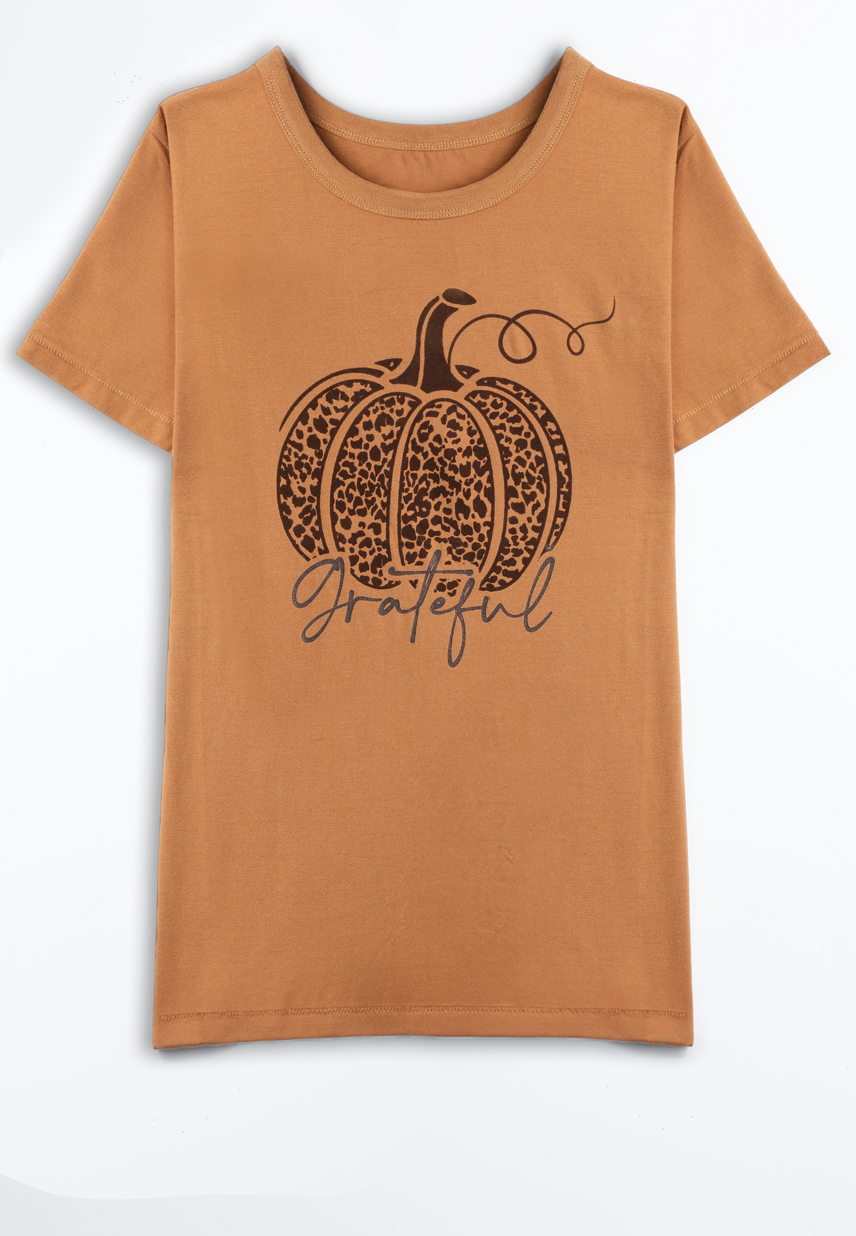 Grateful Classic Fit Graphic Tee, C4750, large