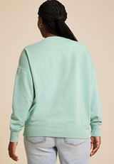 Plus Size Bronco Built To Run Wild Relaxed Fit Sweatshirt, C416, small