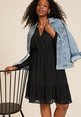 Plus Size Notch Neck Long Sleeve Skater Dress, C106, small