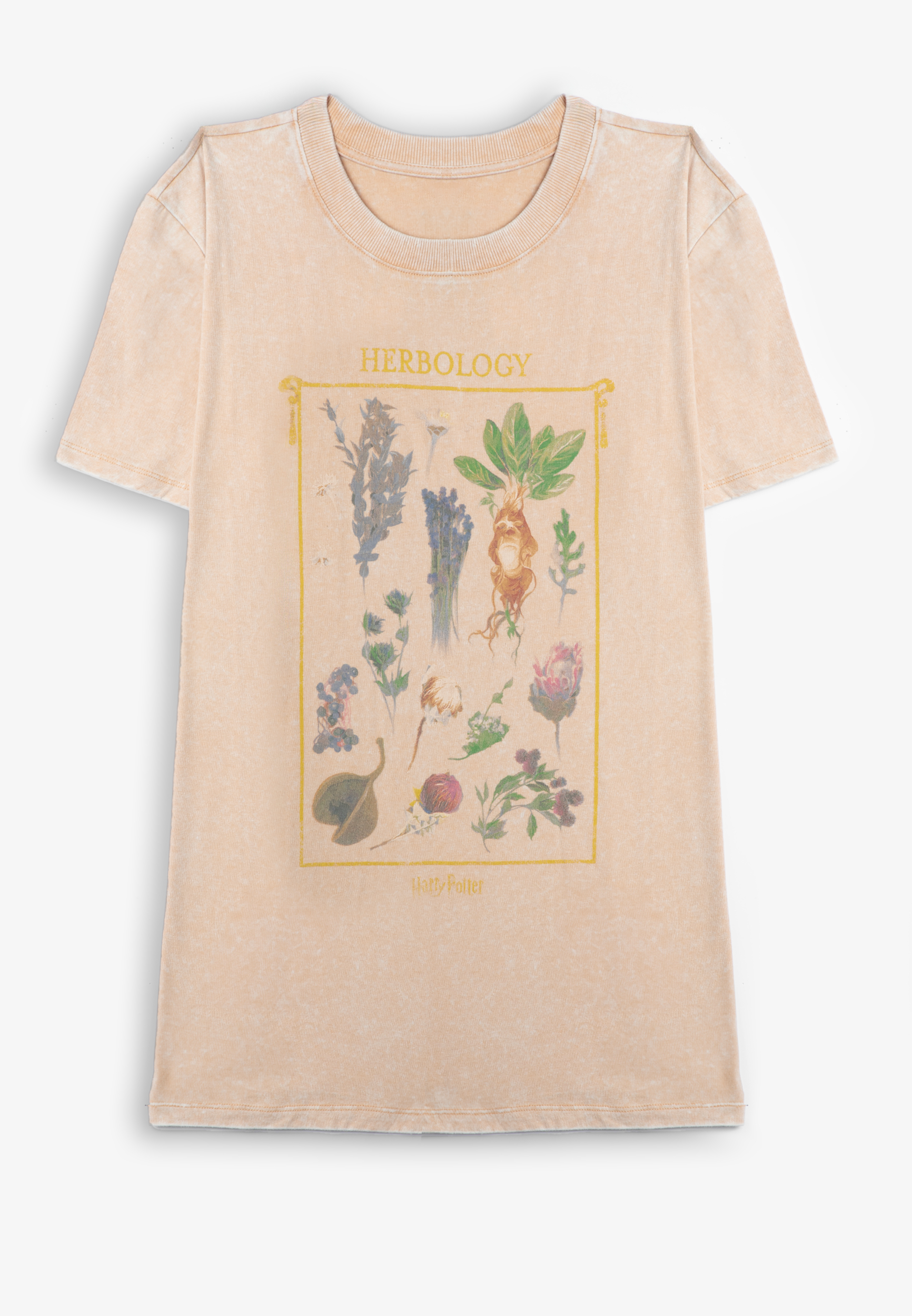 Harry Potter Herbology Oversized Fit Graphic Tee, C188, large