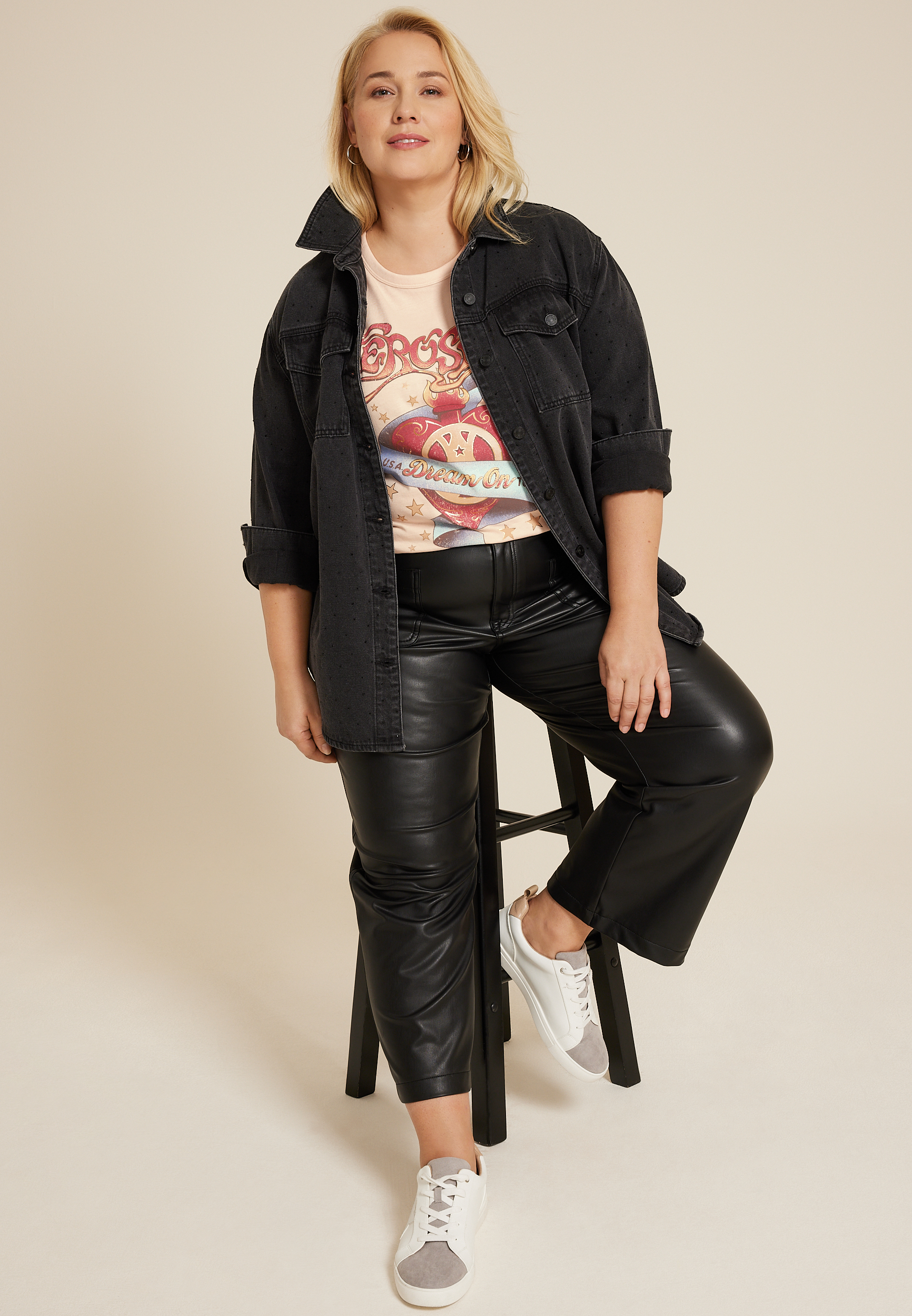 Plus Size Aerosmith Classic Fit Graphic Tee, C9864, large