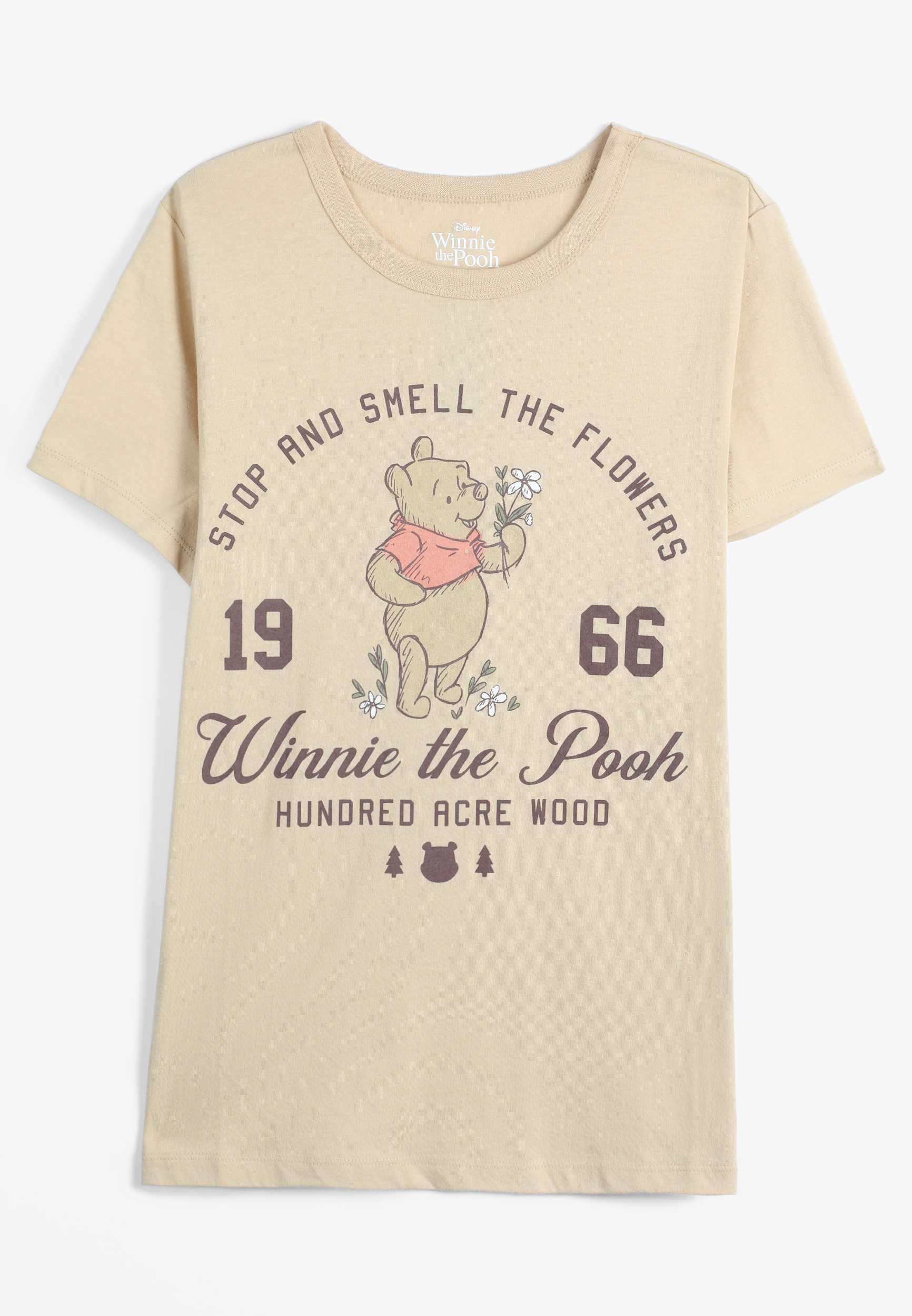 Plus Size Winnie The Pooh Classic Fit Graphic Tee, C9052, large