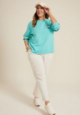 Plus Size Embroidered Scenic Relaxed Fit Sweatshirt, C4820, small