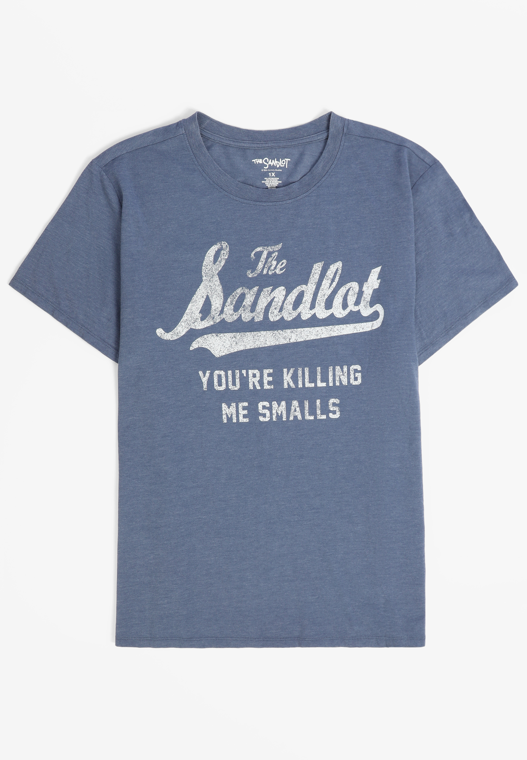 The Sandlot Oversized Fit Graphic Tee, C3479, large