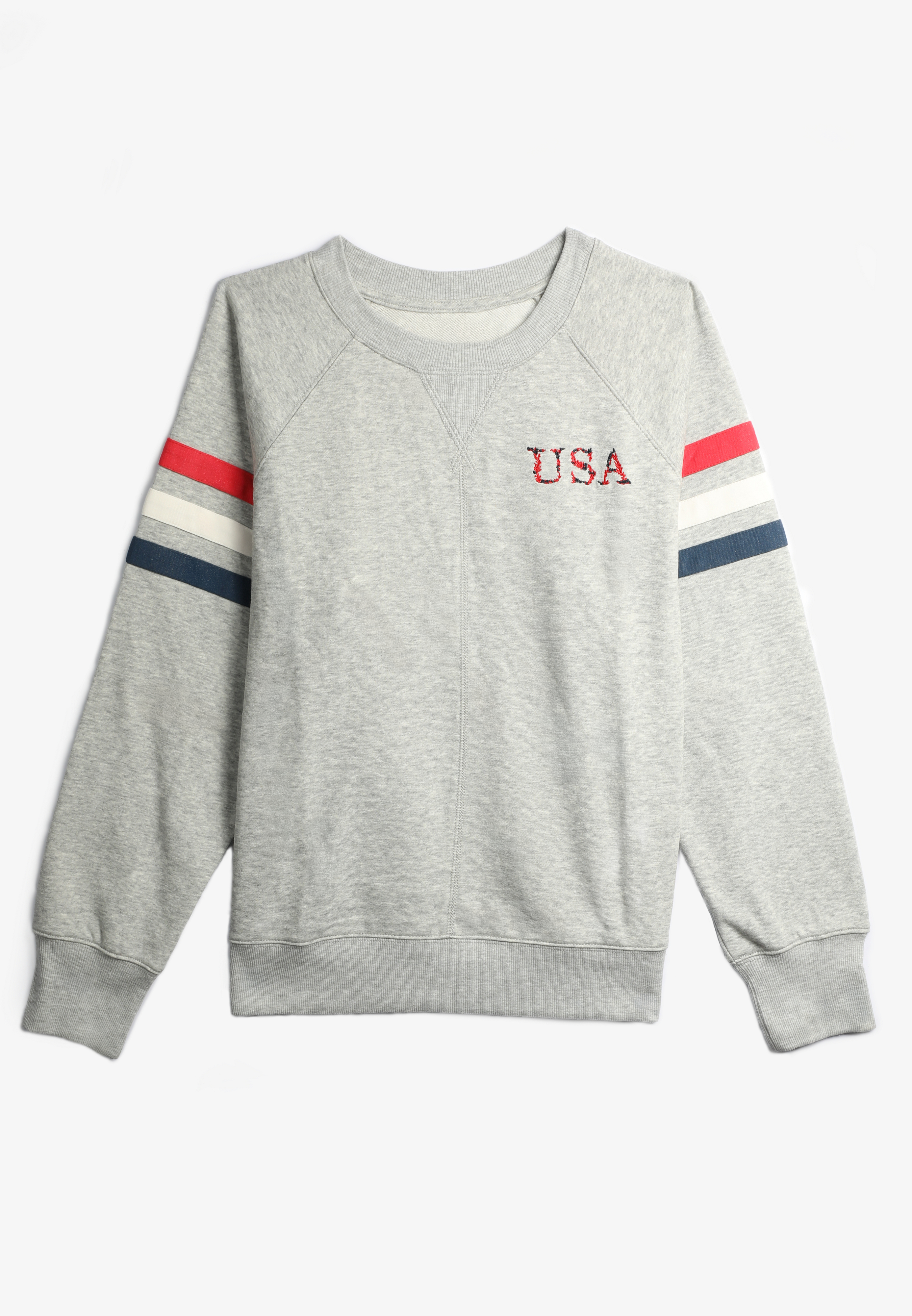 Americana Embroidered Relaxed Fit Sweatshirt, C3348, large