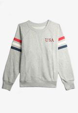 Americana Embroidered Relaxed Fit Sweatshirt, C3348, small