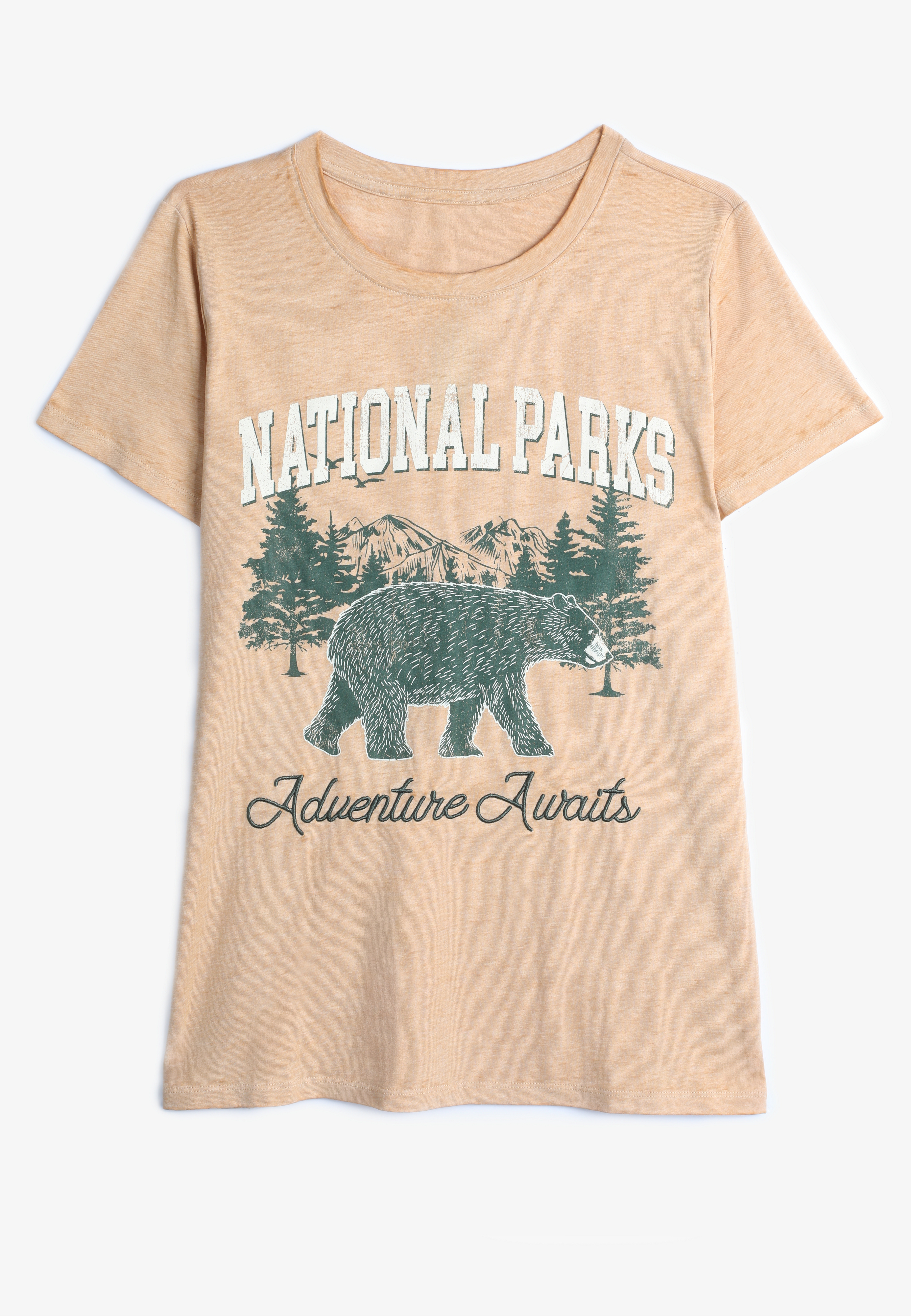 Plus Size National Parks Adventure Awaits Classic Fit Graphic Tee, , large