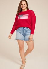 Plus Size Americana Open Stitch Sweater, C2946, small