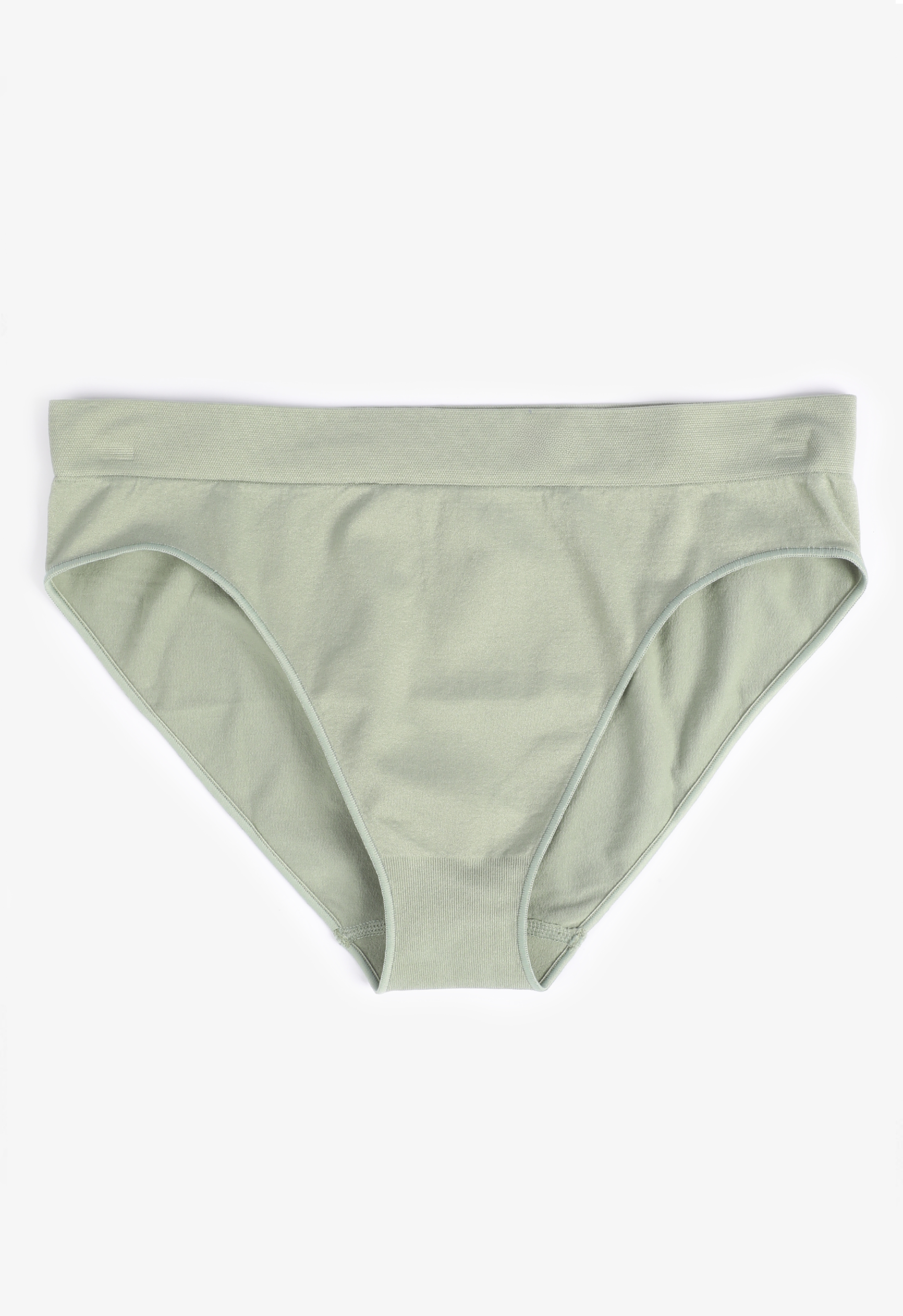 True Stretch Seamless Bikini Panty, C4610, large