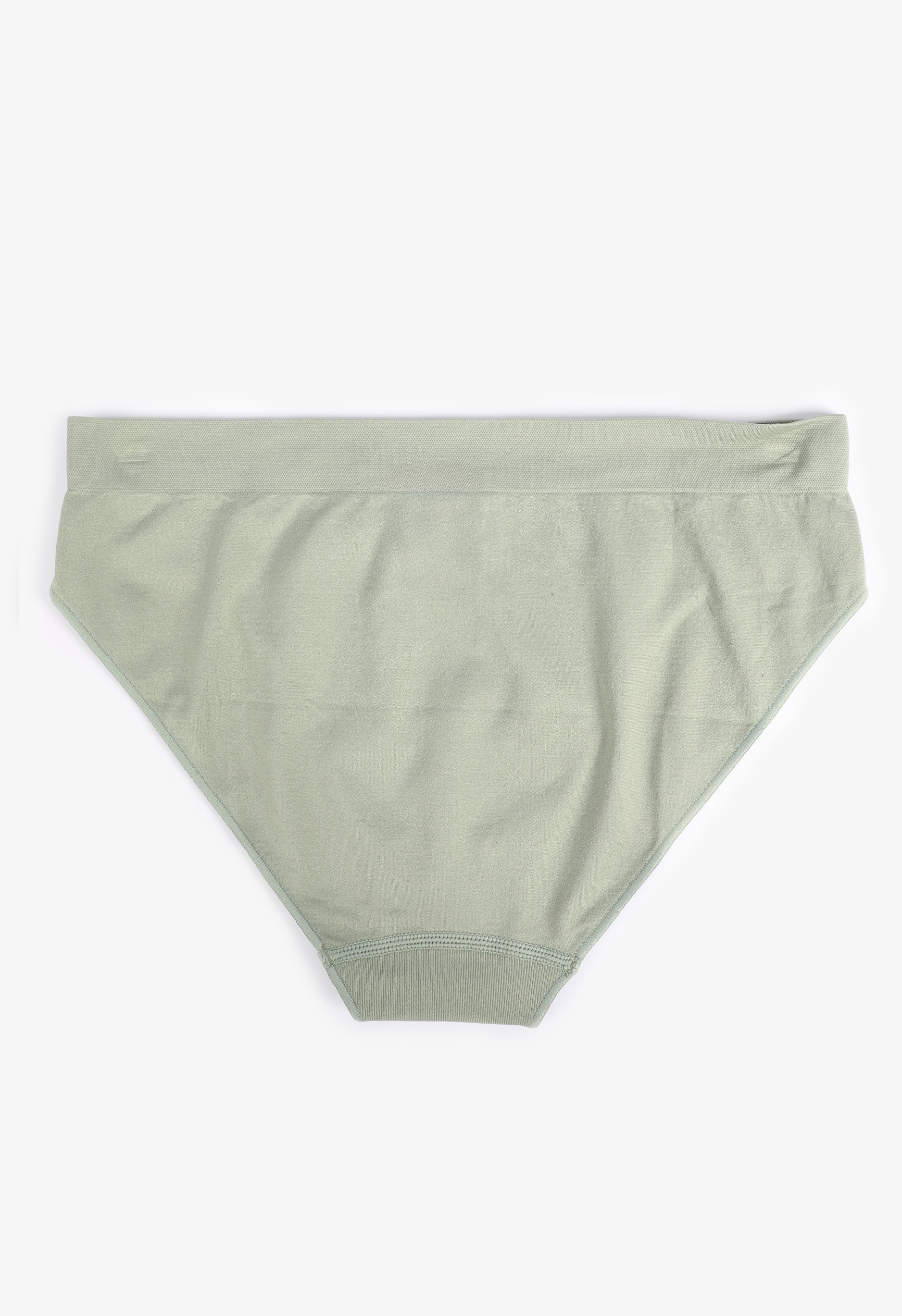 True Stretch Seamless Bikini Panty, C4610, large