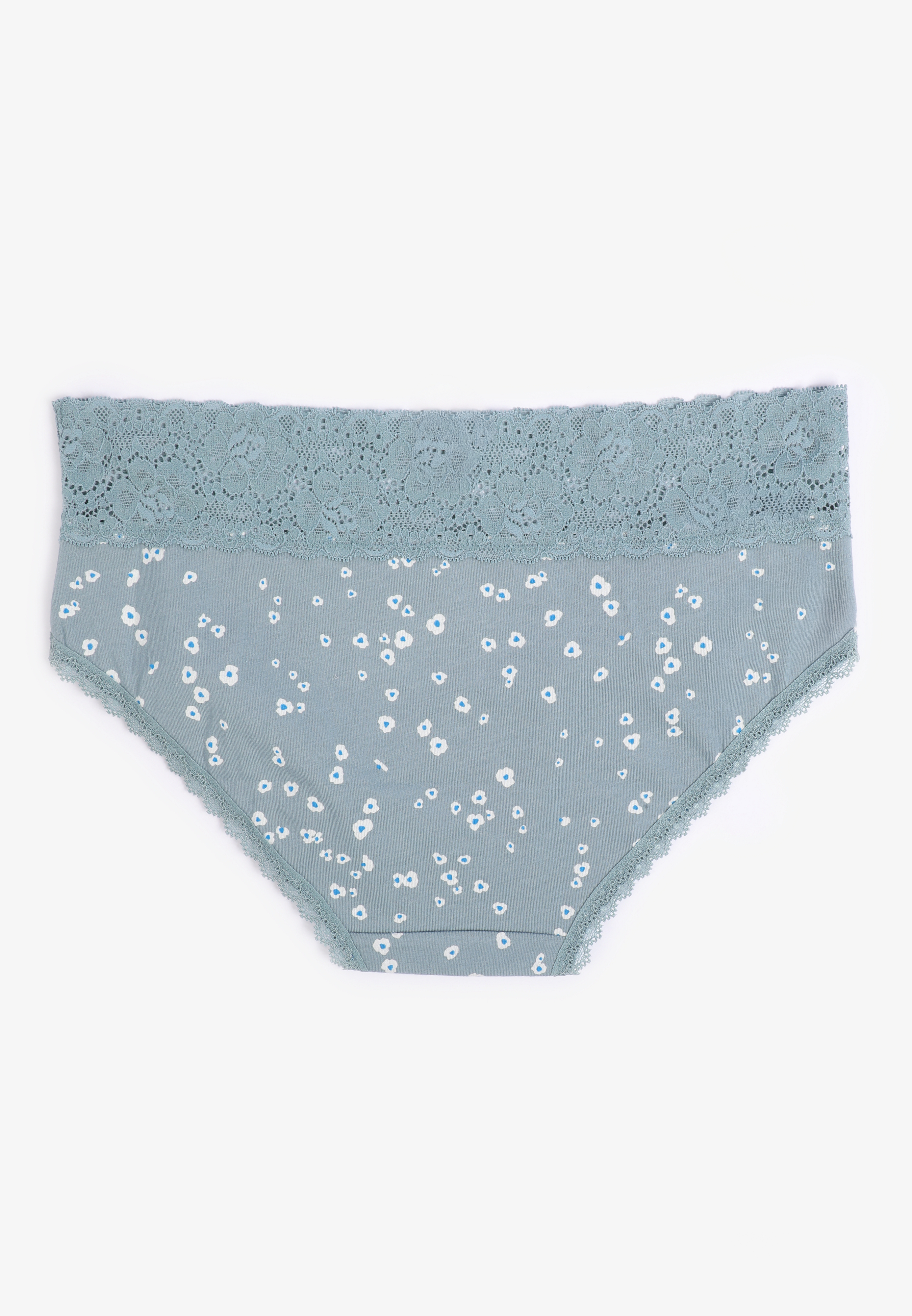 Simply Comfy Cotton Floral Hipster Panty, BLUE COMBO, large