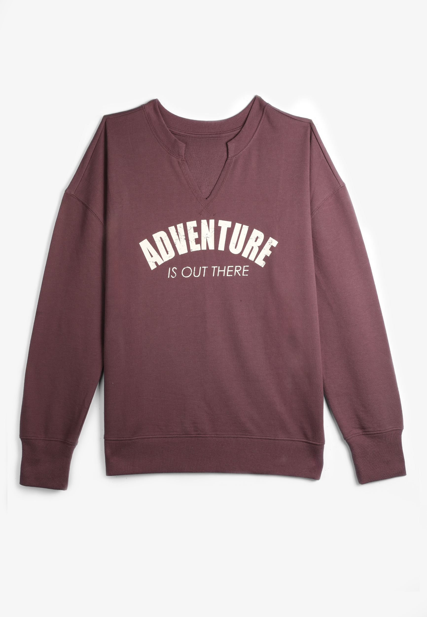 Adventure Relaxed Fit Sweatshirt, PURPLE MOSS, large
