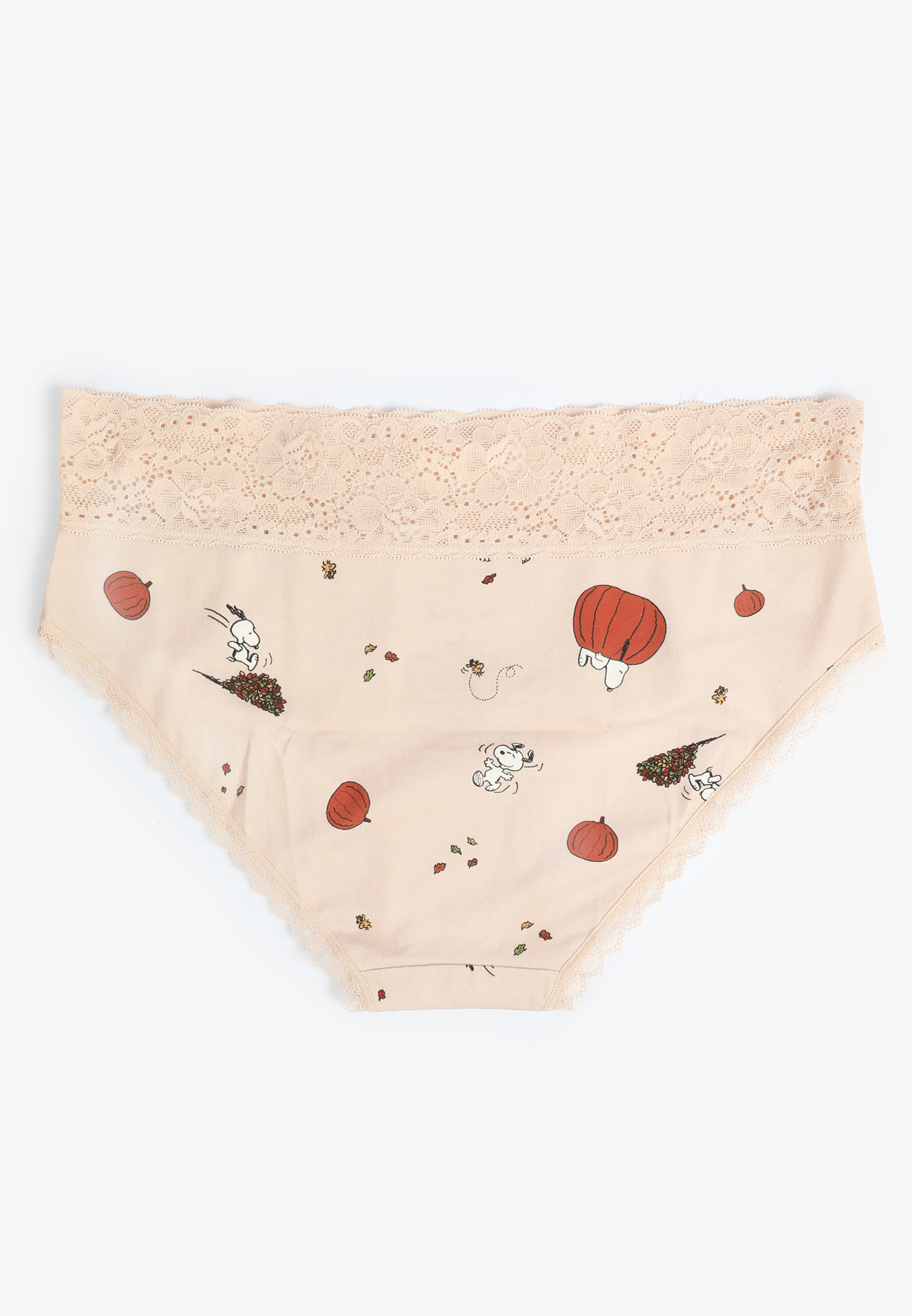 Simply Comfy Cotton Snoopy Hipster Panty, , large
