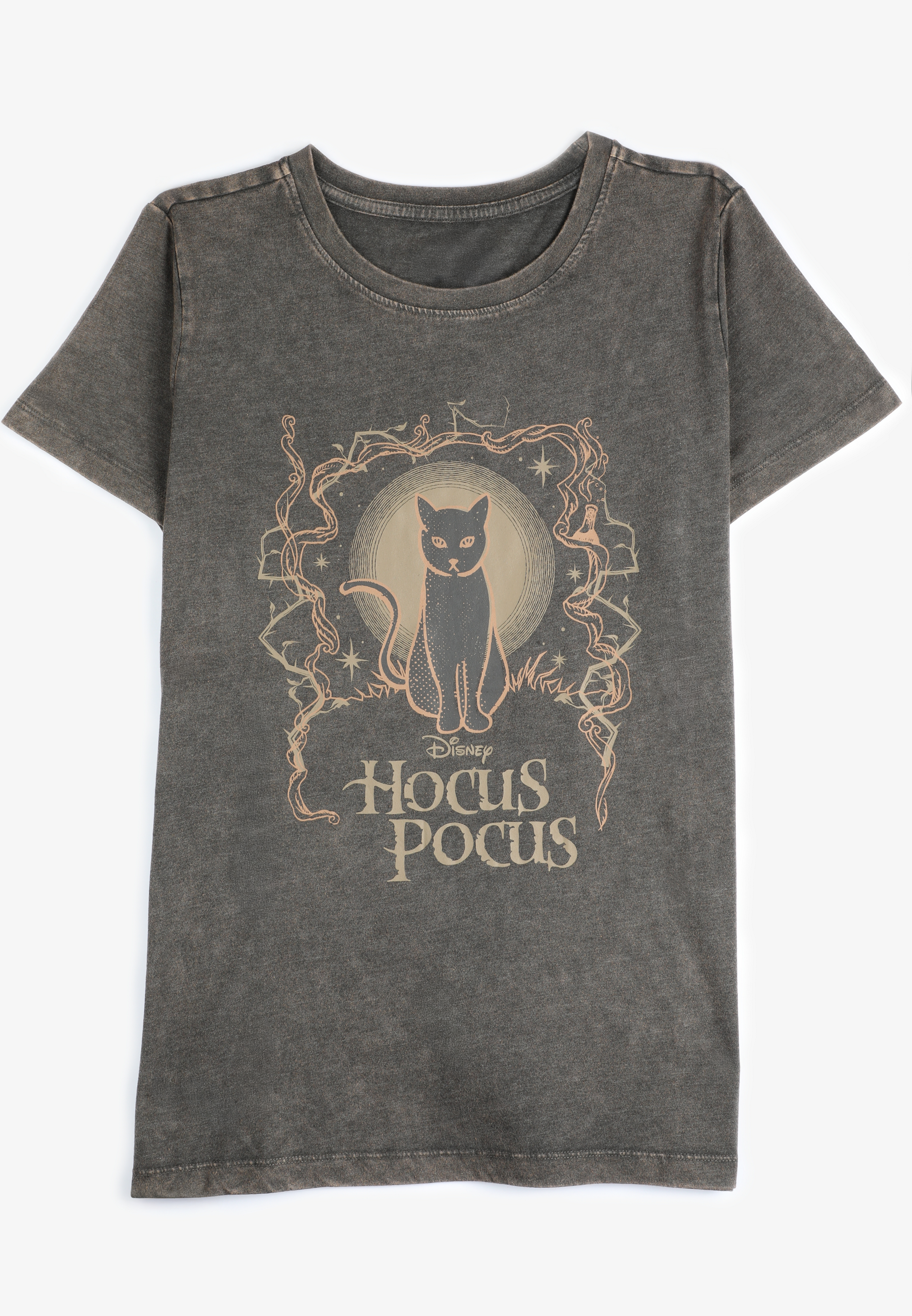 Hocus Pocus Classic Fit Graphic Tee, , large