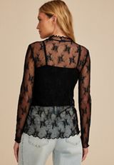 Embroidered Floral Sheer Lace Mock Neck Blouse, C106, small