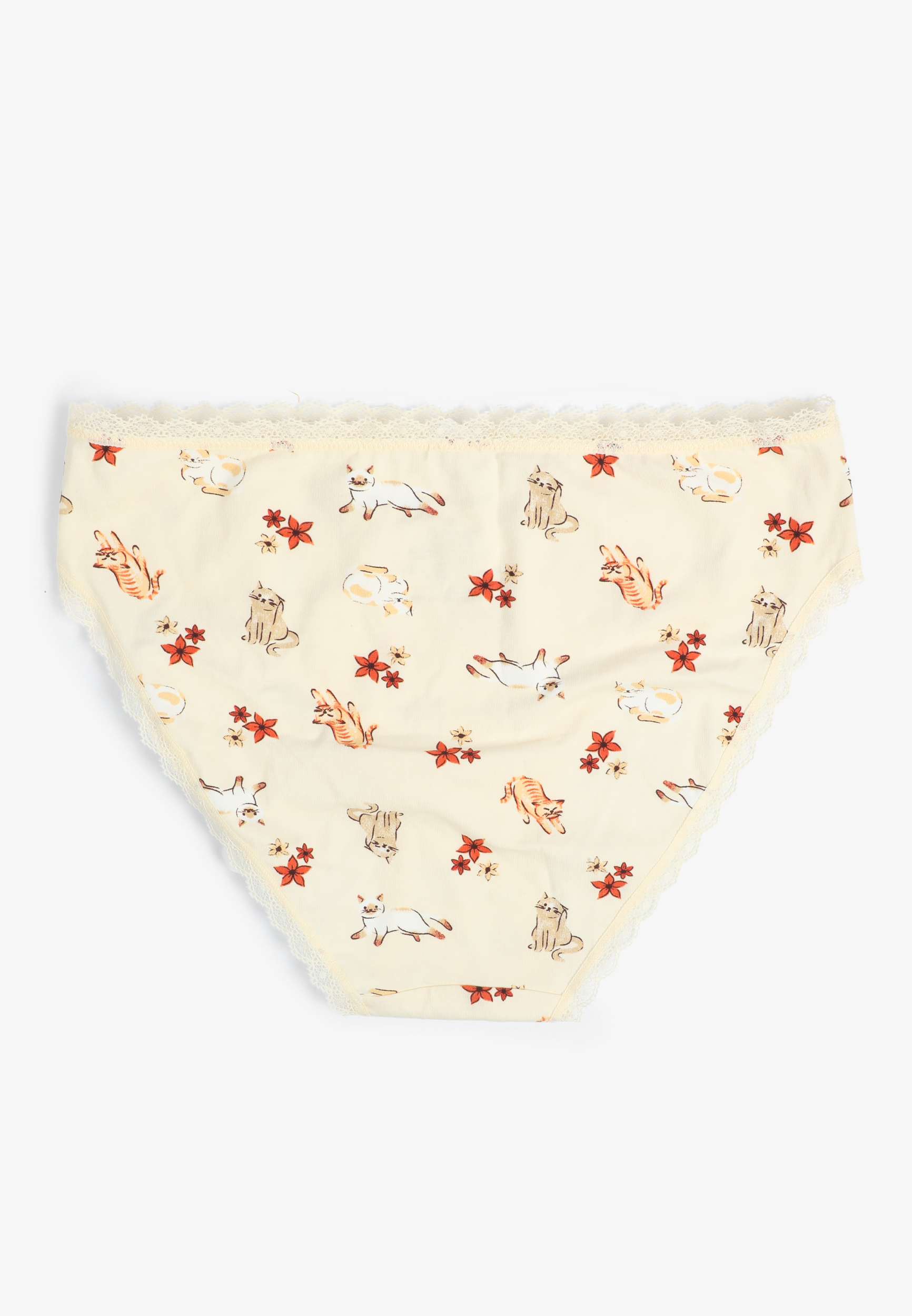 Simply Comfy Cotton Cats And Floral Print Bikini Panty, C1524, large