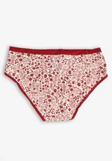 True Stretch Jersey Red Floral Hipster Panty, C9187, small