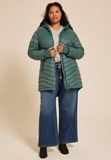 Plus Size Hooded Long Puffer Jacket, C974, small