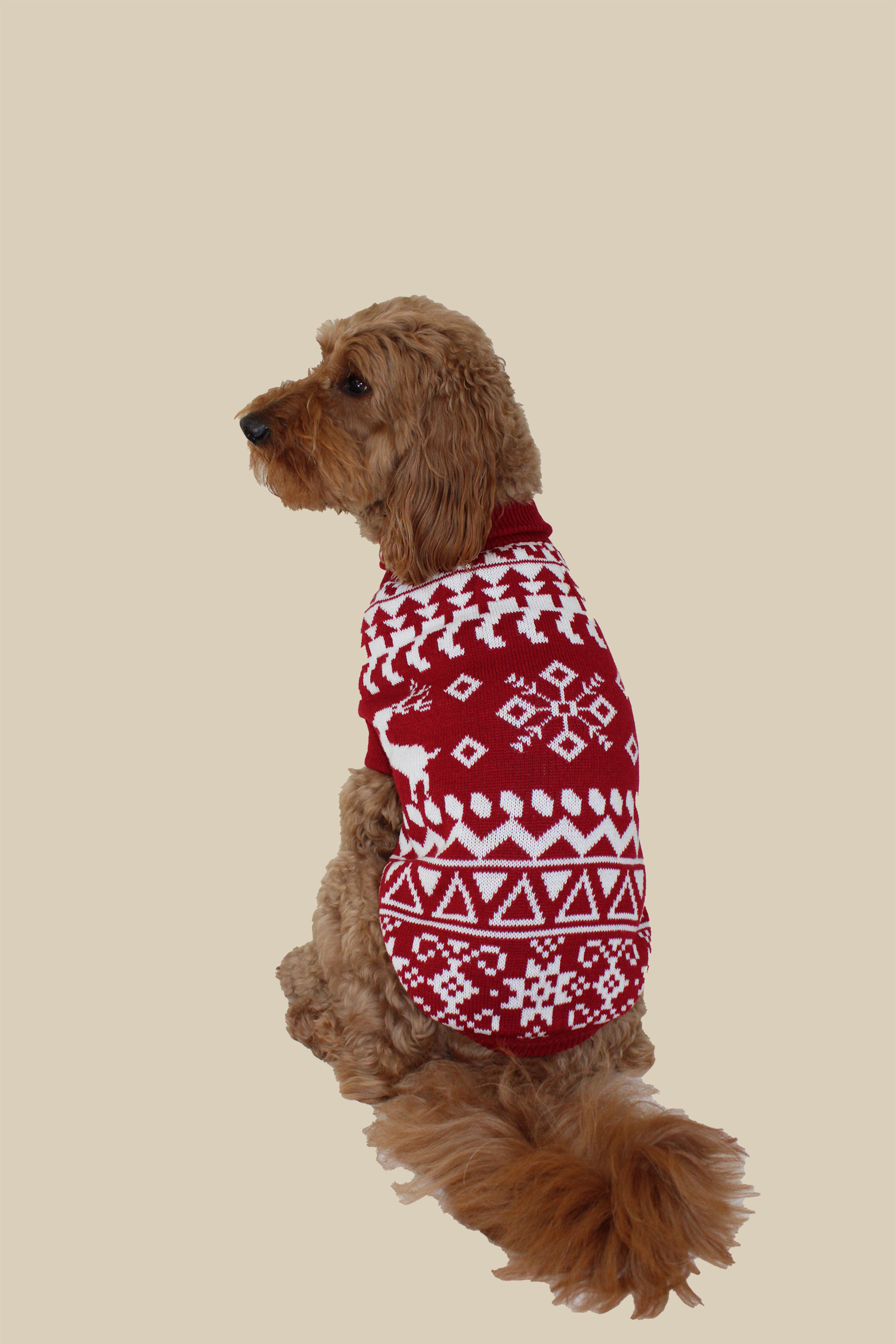Holiday Pet Pullover