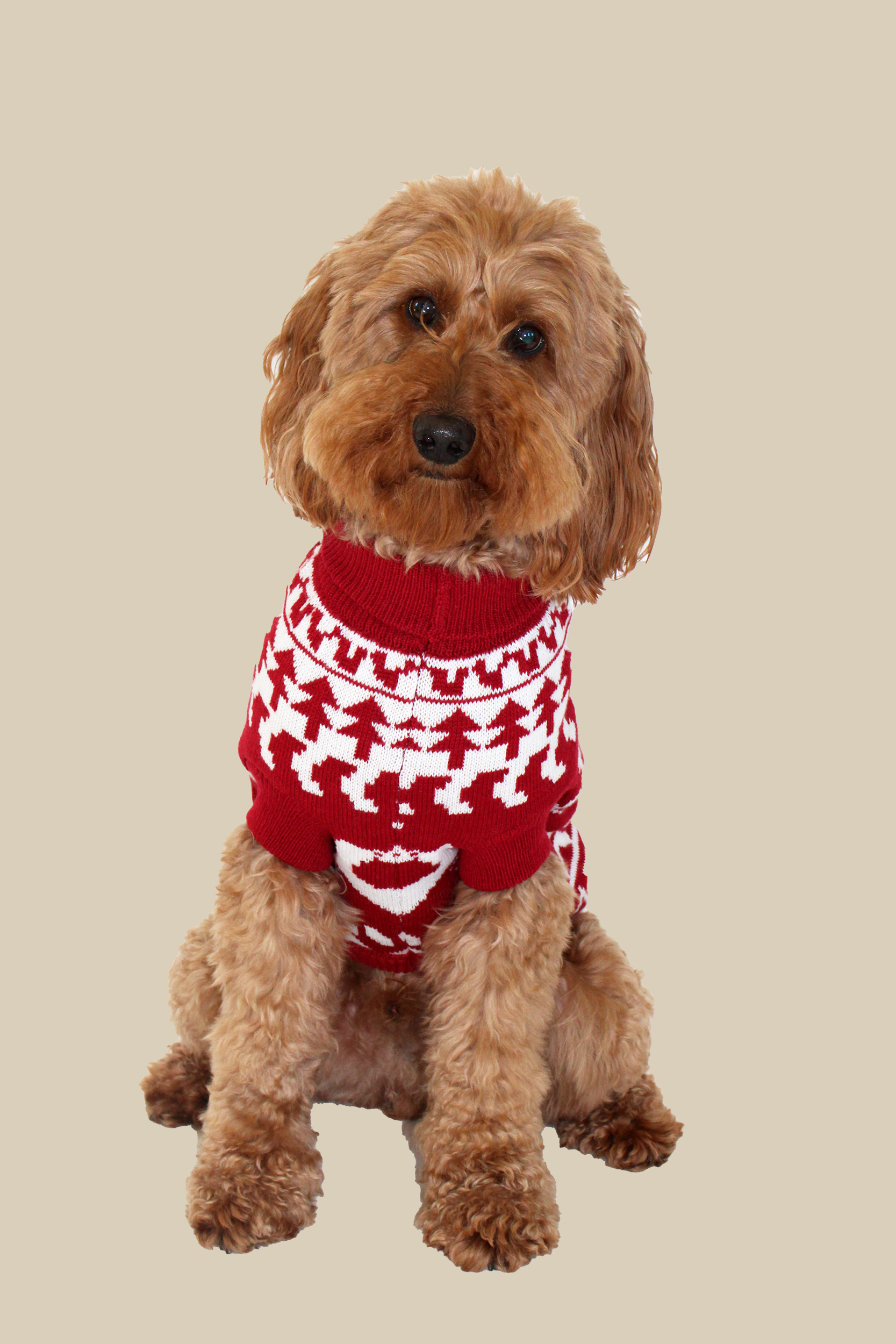 Holiday Pet Pullover, , large