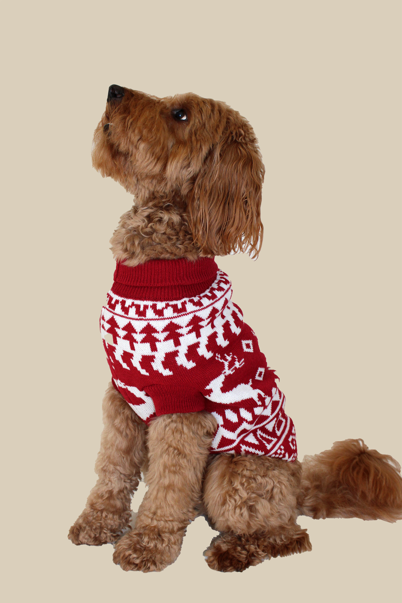 Holiday Pet Pullover, , large
