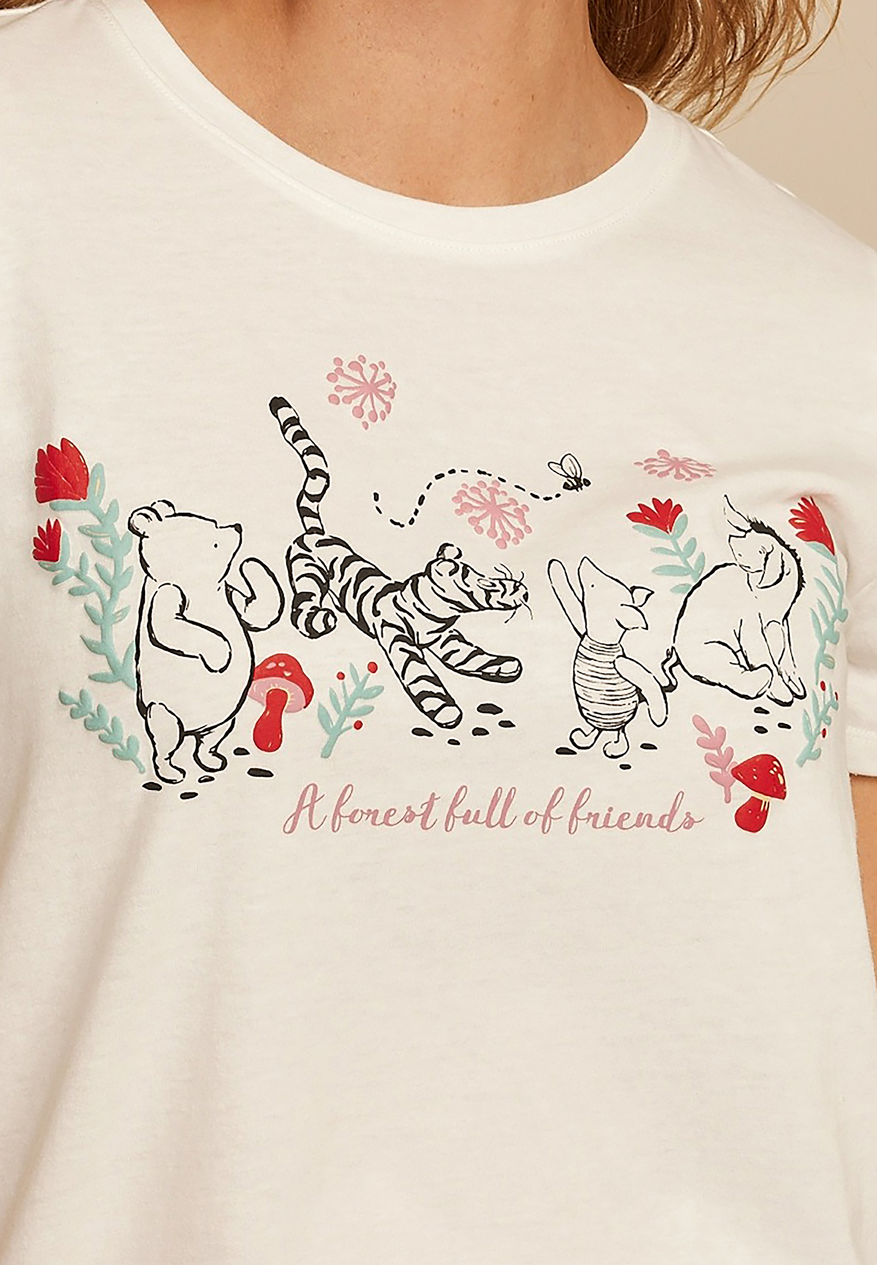 Pooh And Friend Classic Fit Graphic Tee, ECRU, large