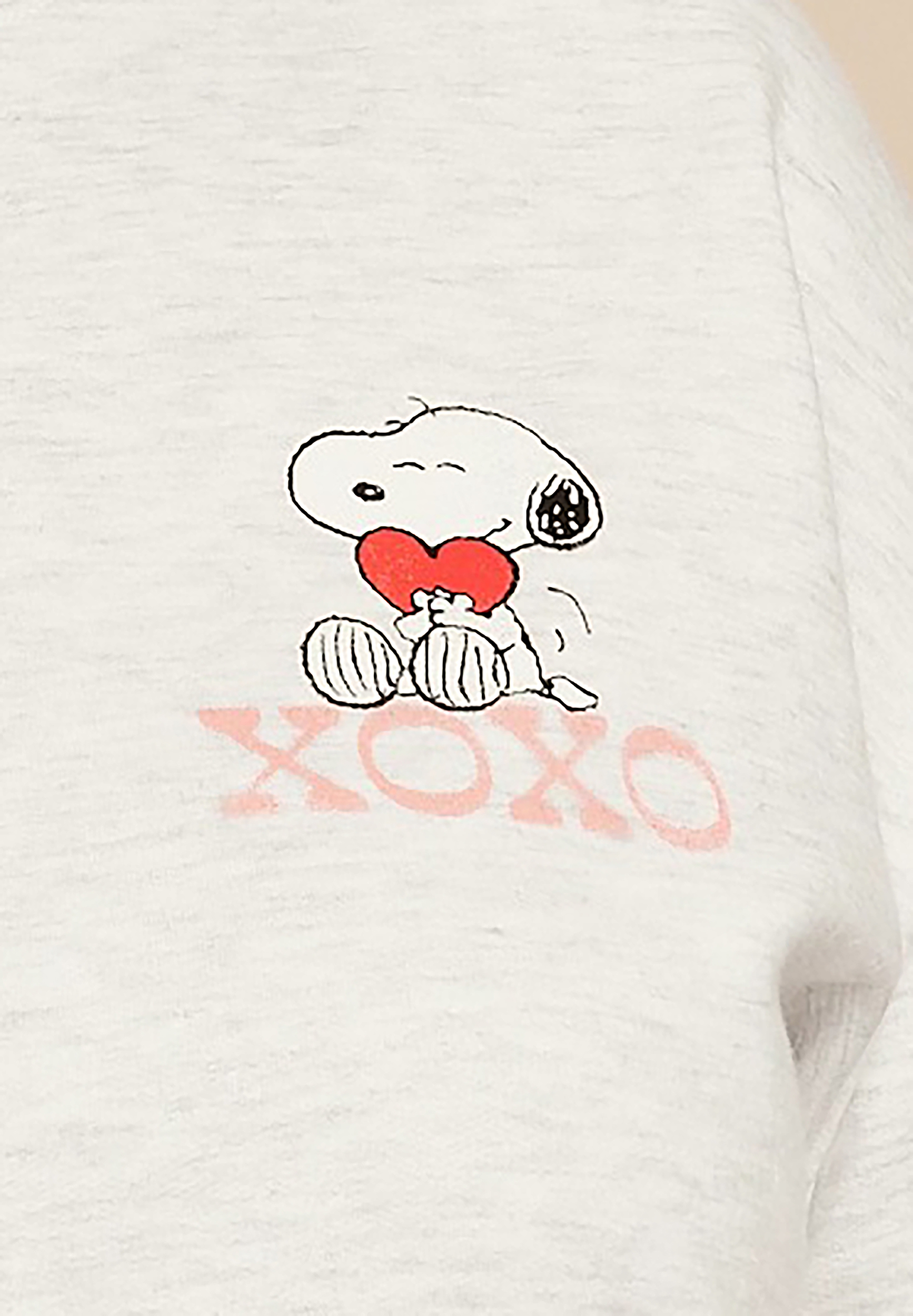 Plus Size Peanuts Snoopy And Friends Relaxed Fit Sweatshirt, C3348, large