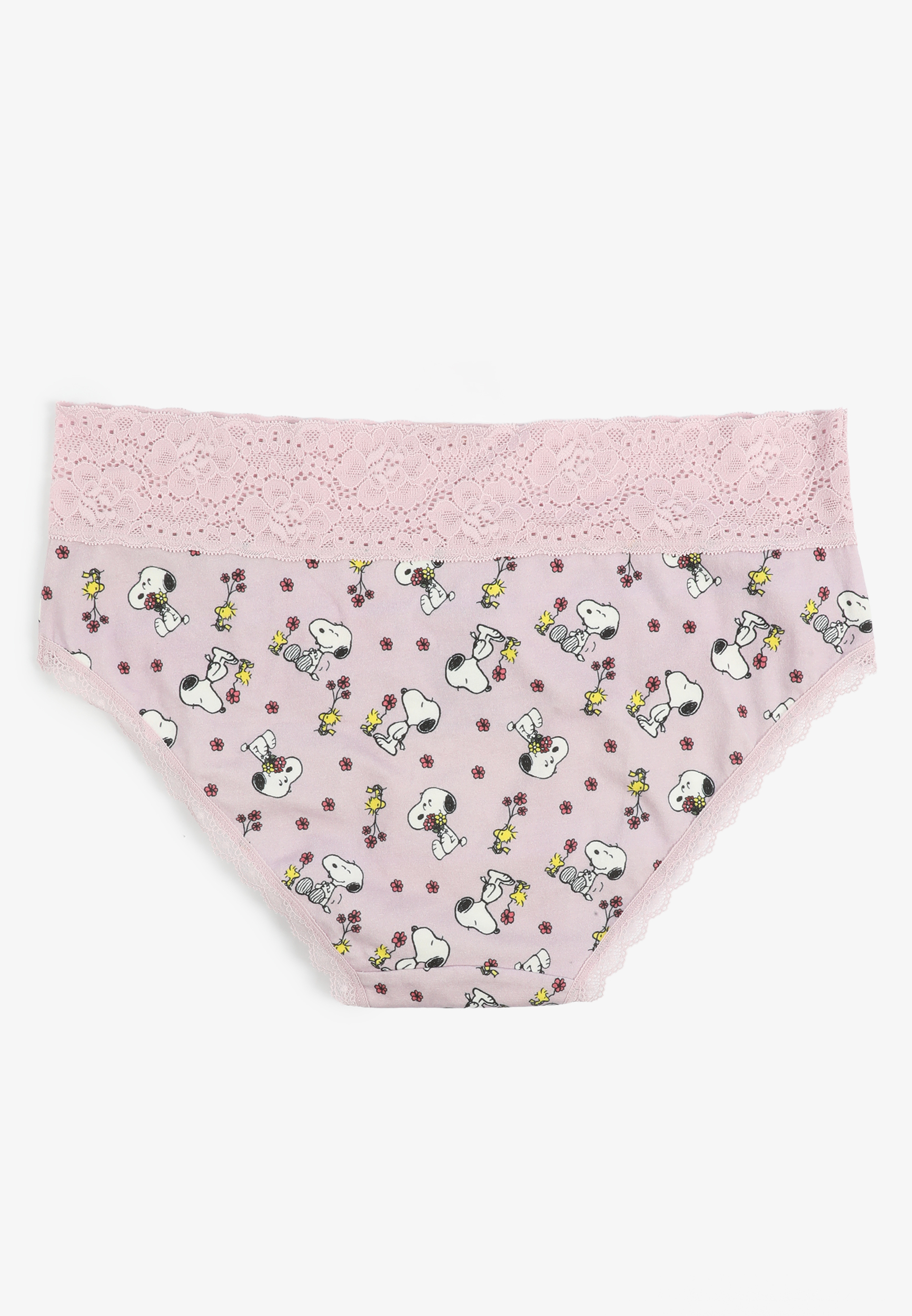 Simply Comfy Cotton Snoopy And Woodstock Print Hipster Panty, PURPLE COMBO, large