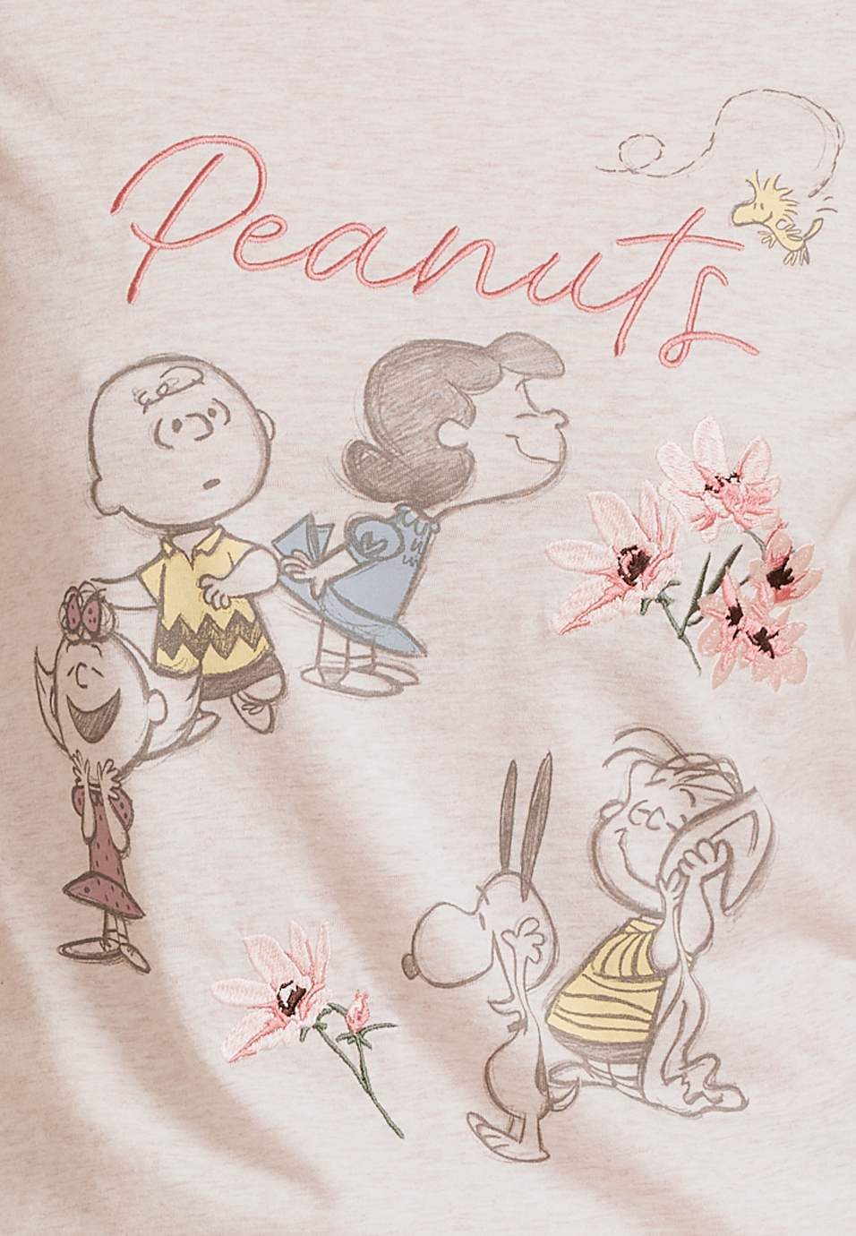 Peanuts Charlie Brown Classic Fit Graphic Tee, C2445, large
