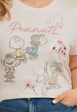 Plus Size Peanuts Charlie Brown Classic Fit Graphic Tee, LIGHT OATMEAL HEATHER, small