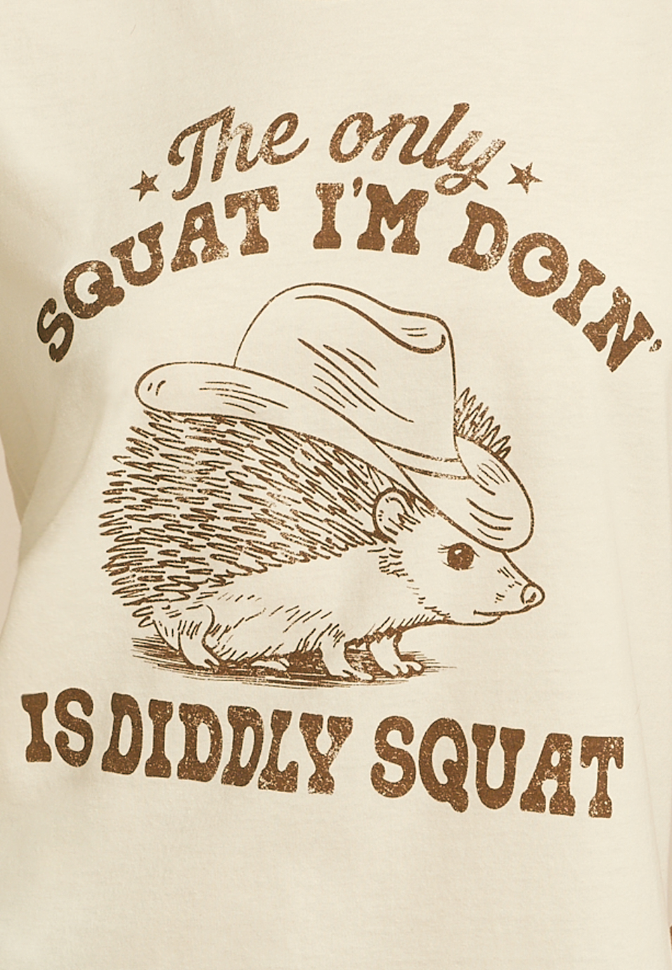 Diddly Squat Hedgehog Classic Fit Graphic Tee, C2789, large