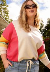 Plus Size Colorblock Crew Neck Sweatshirt, C3363, small