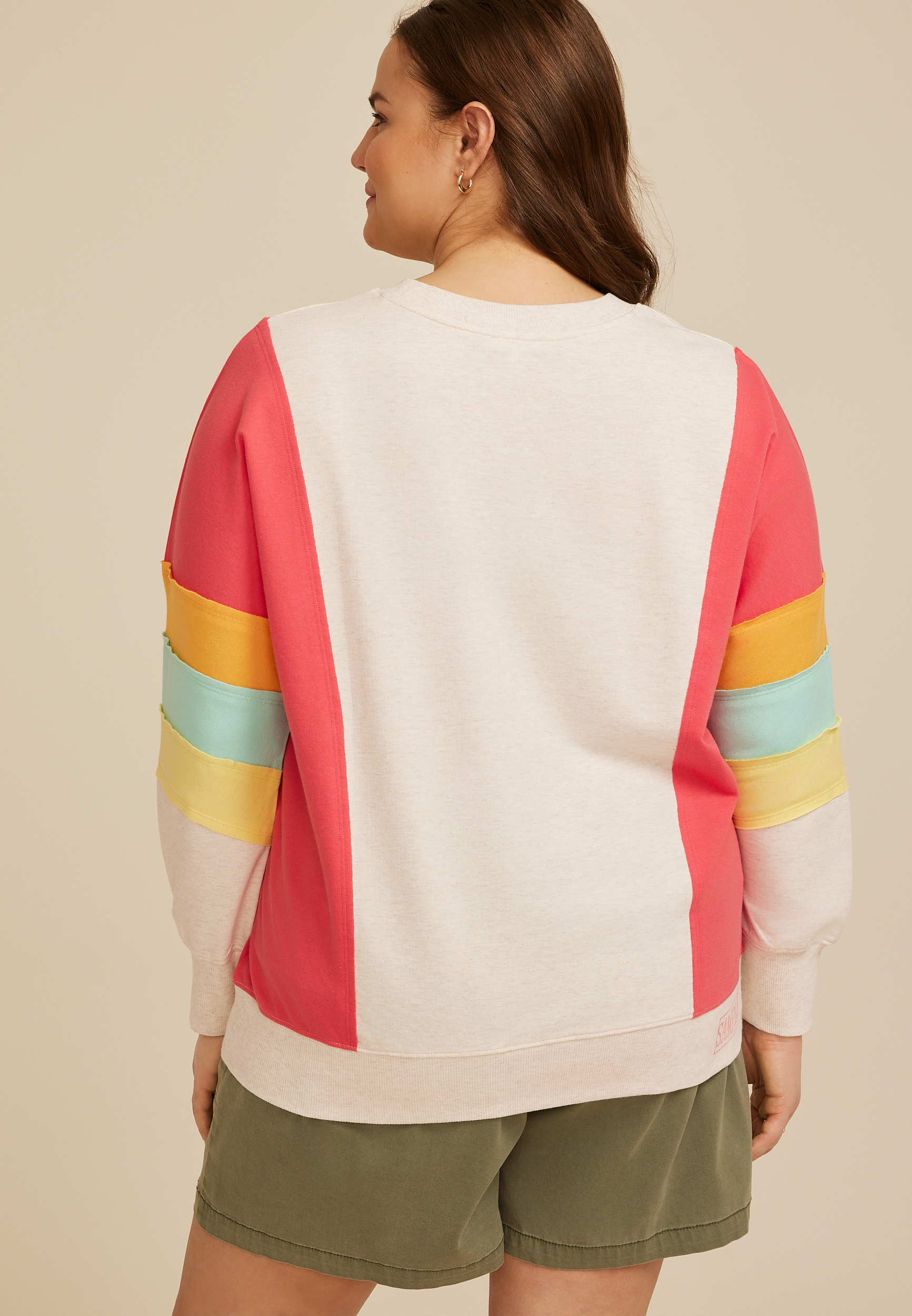 Plus Size Colorblock Crew Neck Sweatshirt, C3363, large