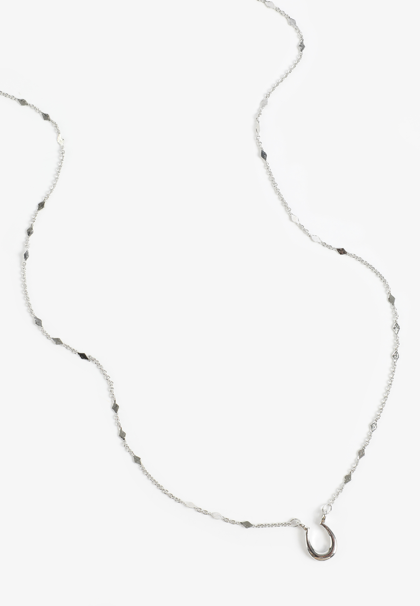 Silver Danity Horseshoe Pendant Necklace