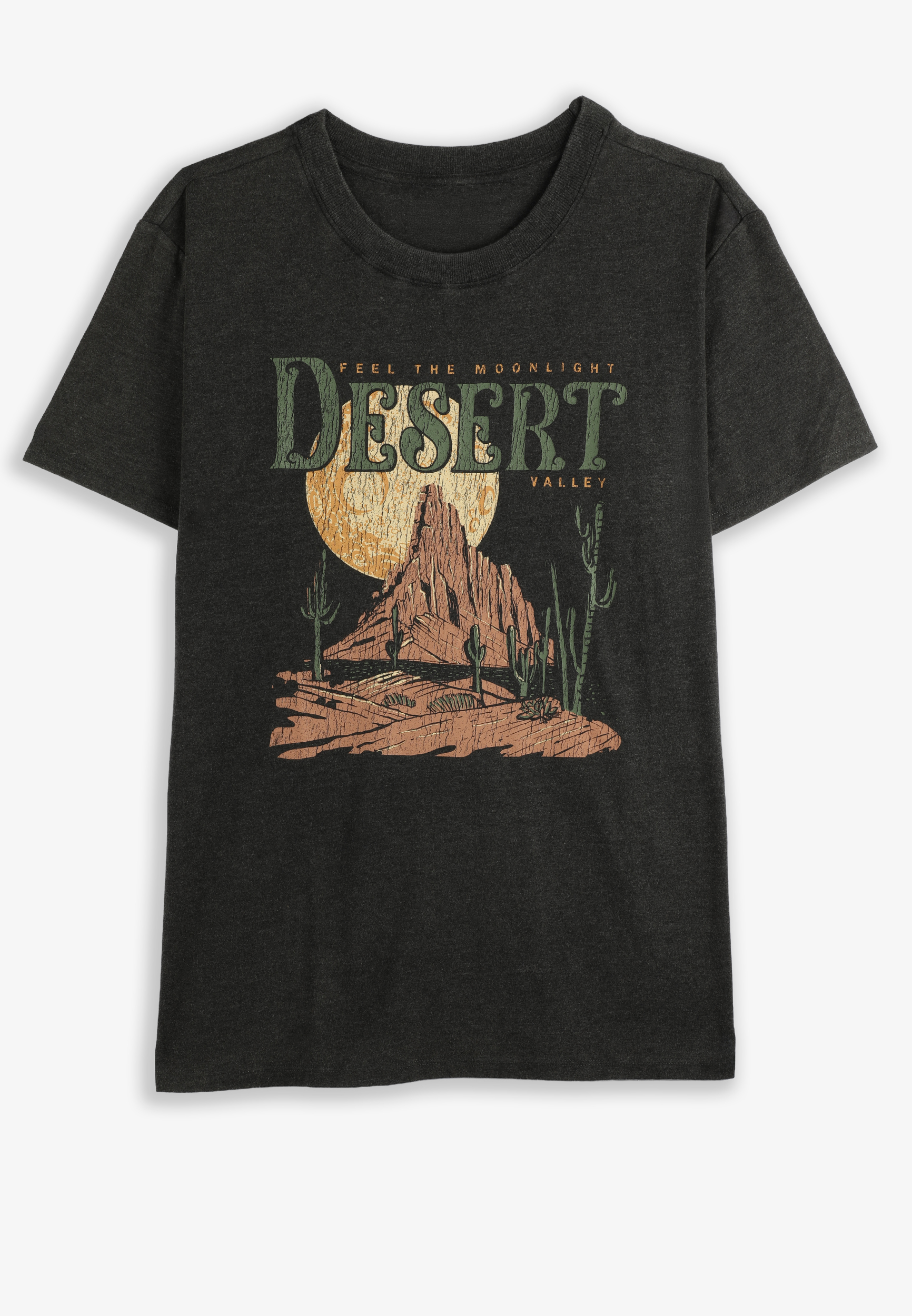 Desert Scene Oversized Fit Graphic Tee, C106, large