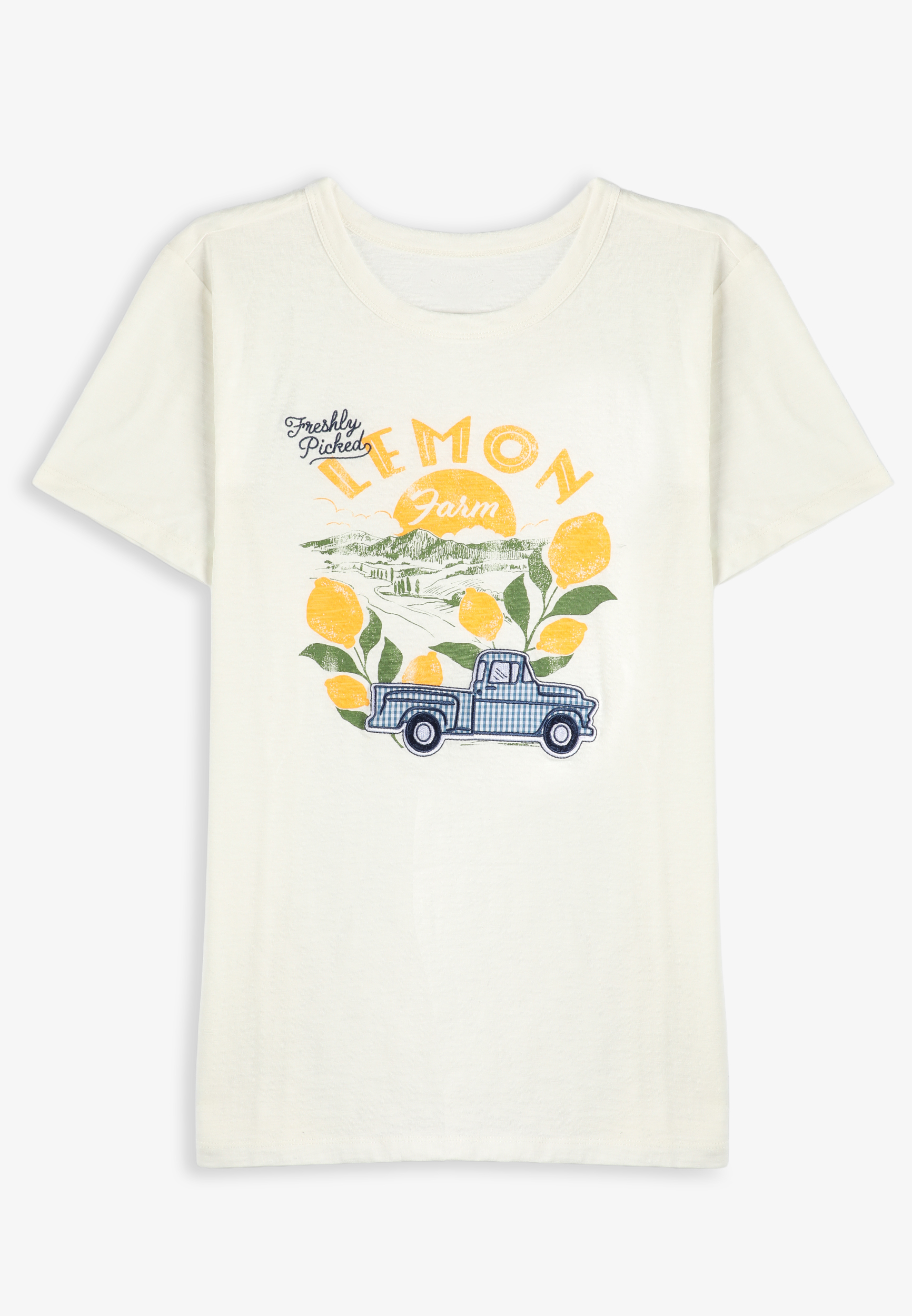 Plus Size Gingham Lemon Farm Embroidered Classic Fit Graphic Tee