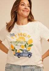 Plus Size Gingham Lemon Farm Embroidered Classic Fit Graphic Tee, SOFT WHITE, small