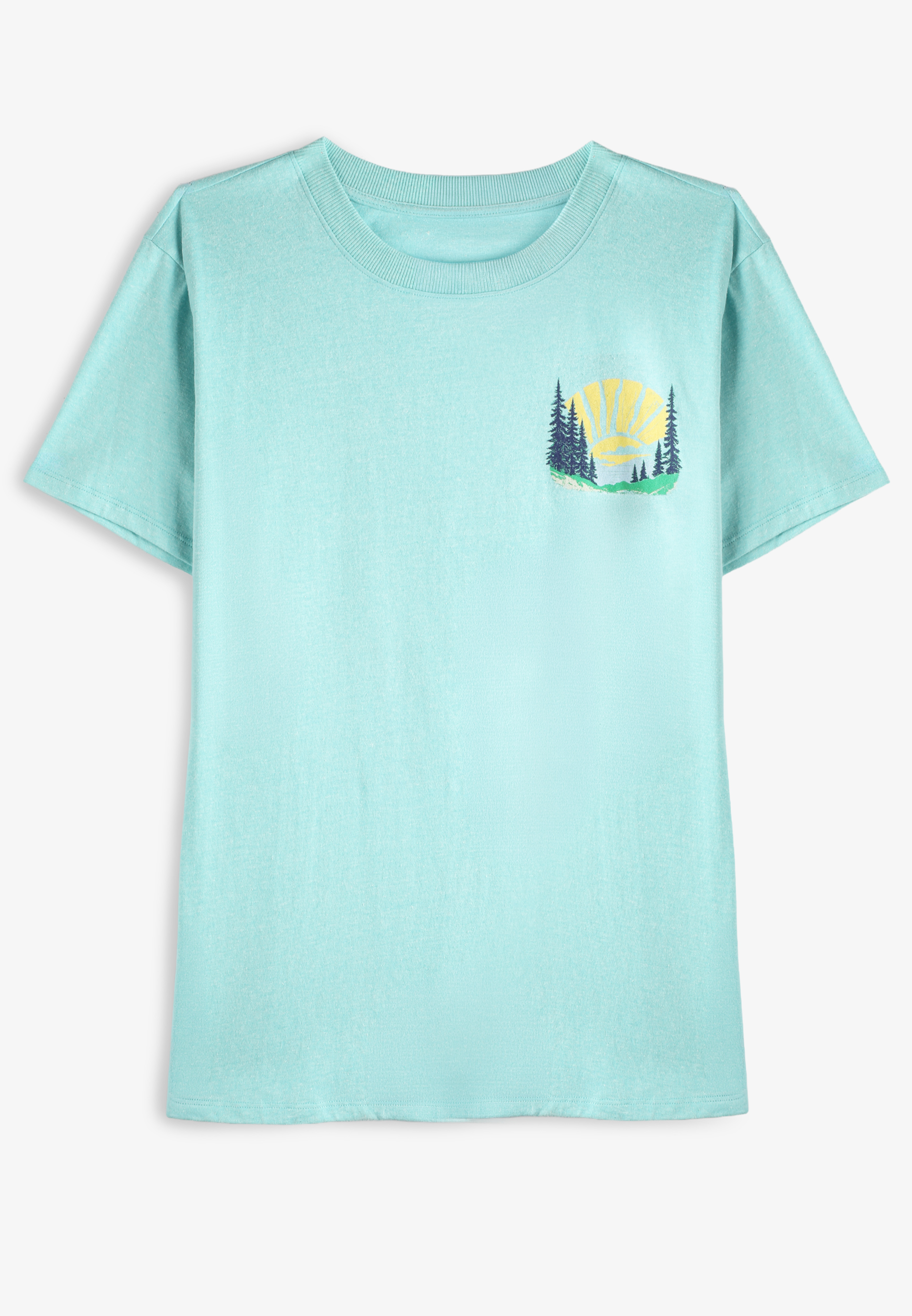 Better To Wake At The Lake Oversized Fit Graphic Tee, AQUIFER, large