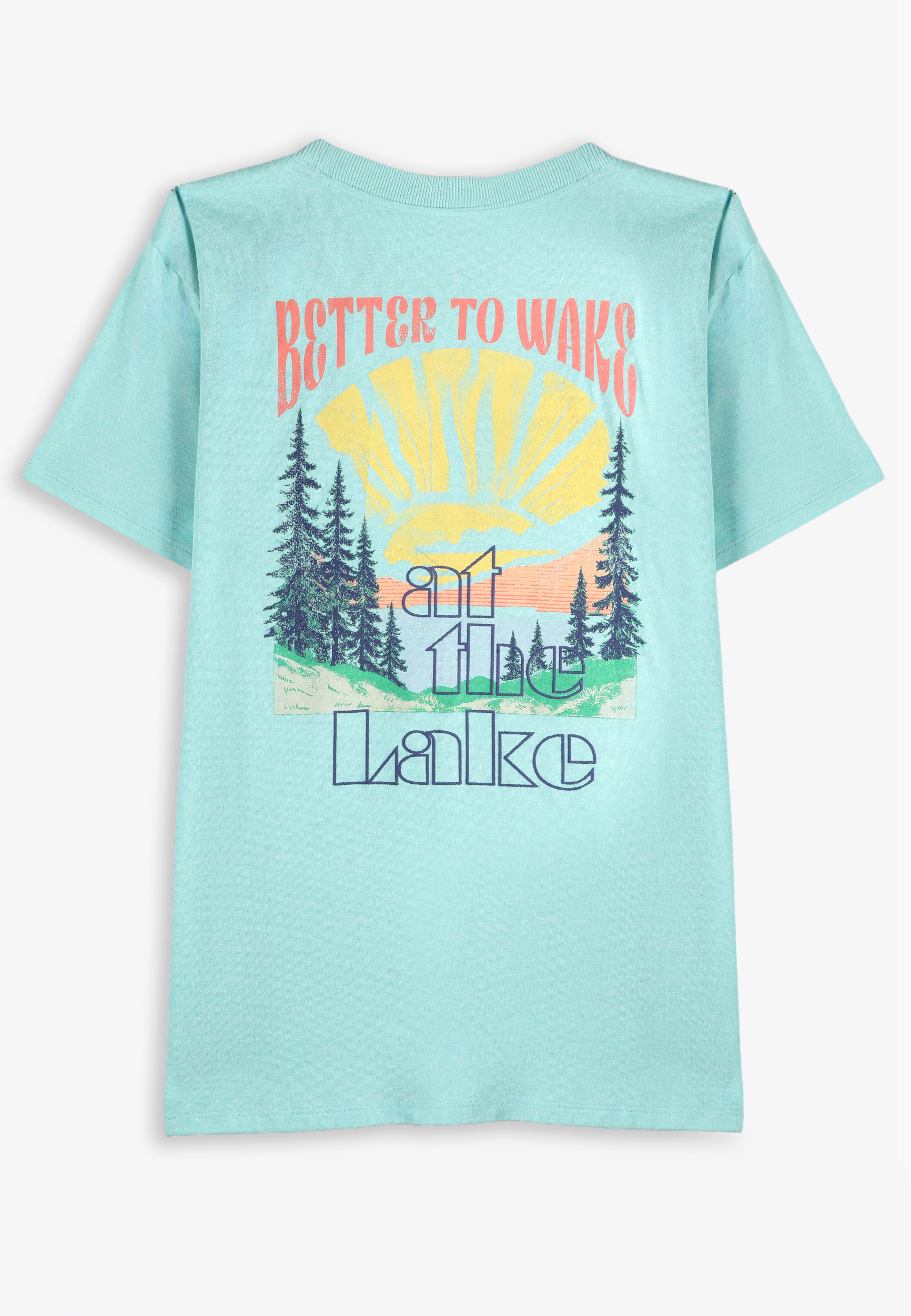 Plus Size Better To Wake At The Lake Oversized Fit Graphic Tee, AQUIFER, large